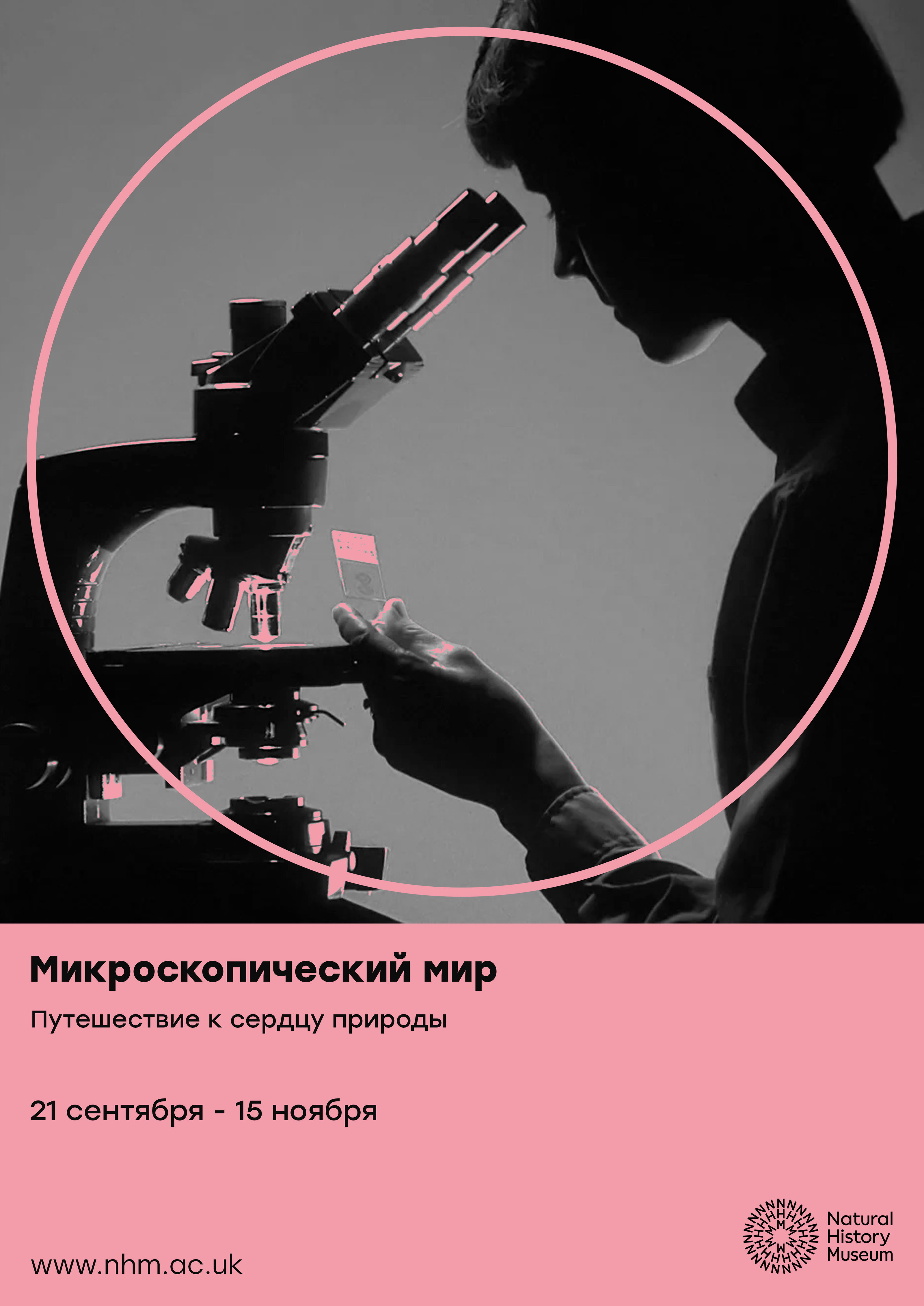 Музей Естественной Истории / Natural History Museum — Изображение №5 — Графика, Маркетинг на Dprofile