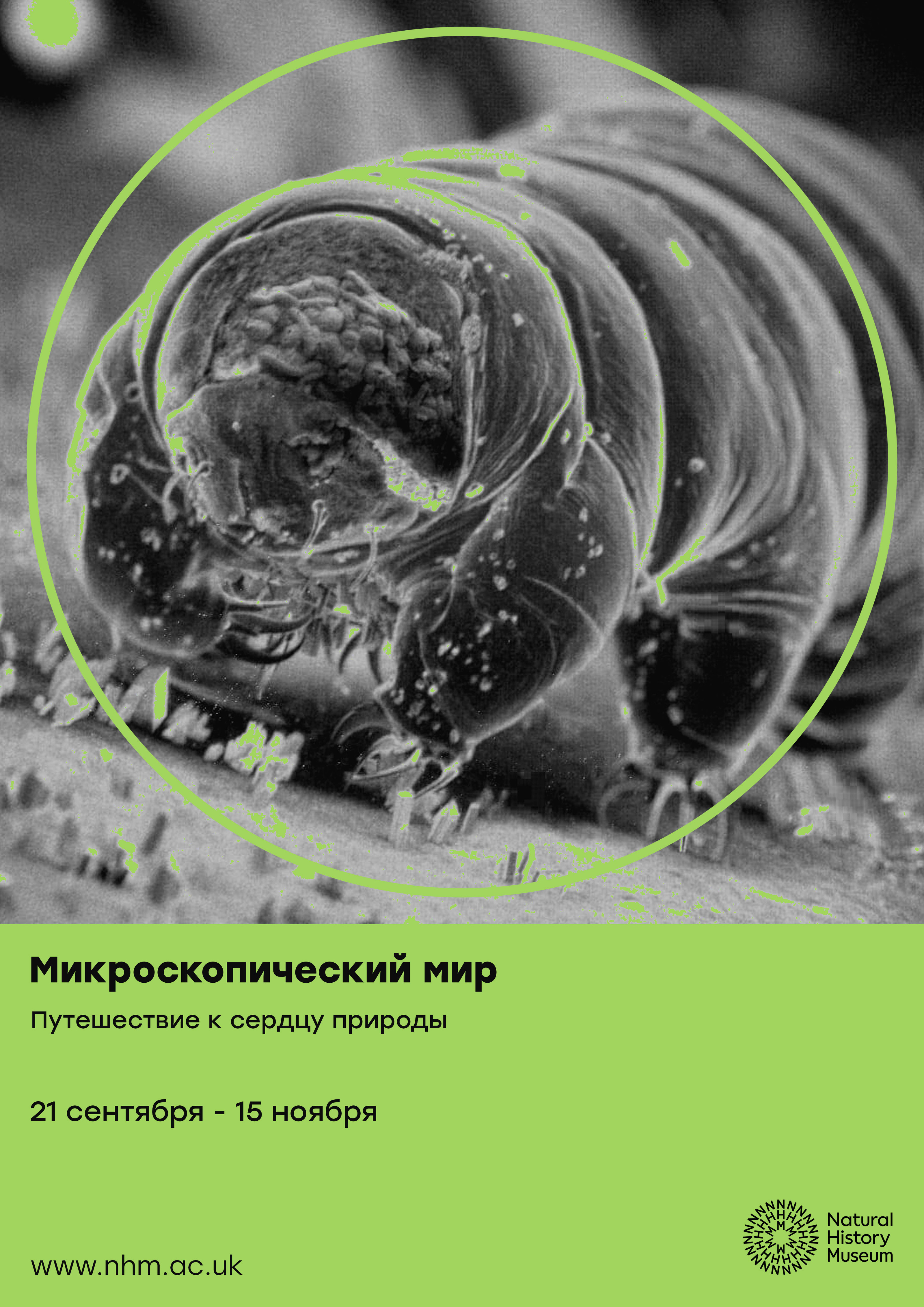 Музей Естественной Истории / Natural History Museum — Изображение №3 — Графика, Маркетинг на Dprofile