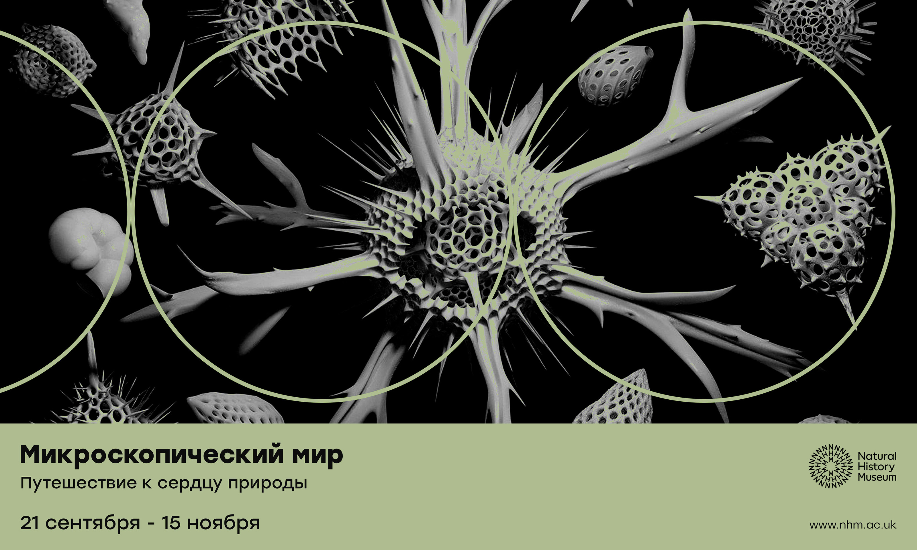 Музей Естественной Истории / Natural History Museum — Изображение №9 — Графика, Маркетинг на Dprofile