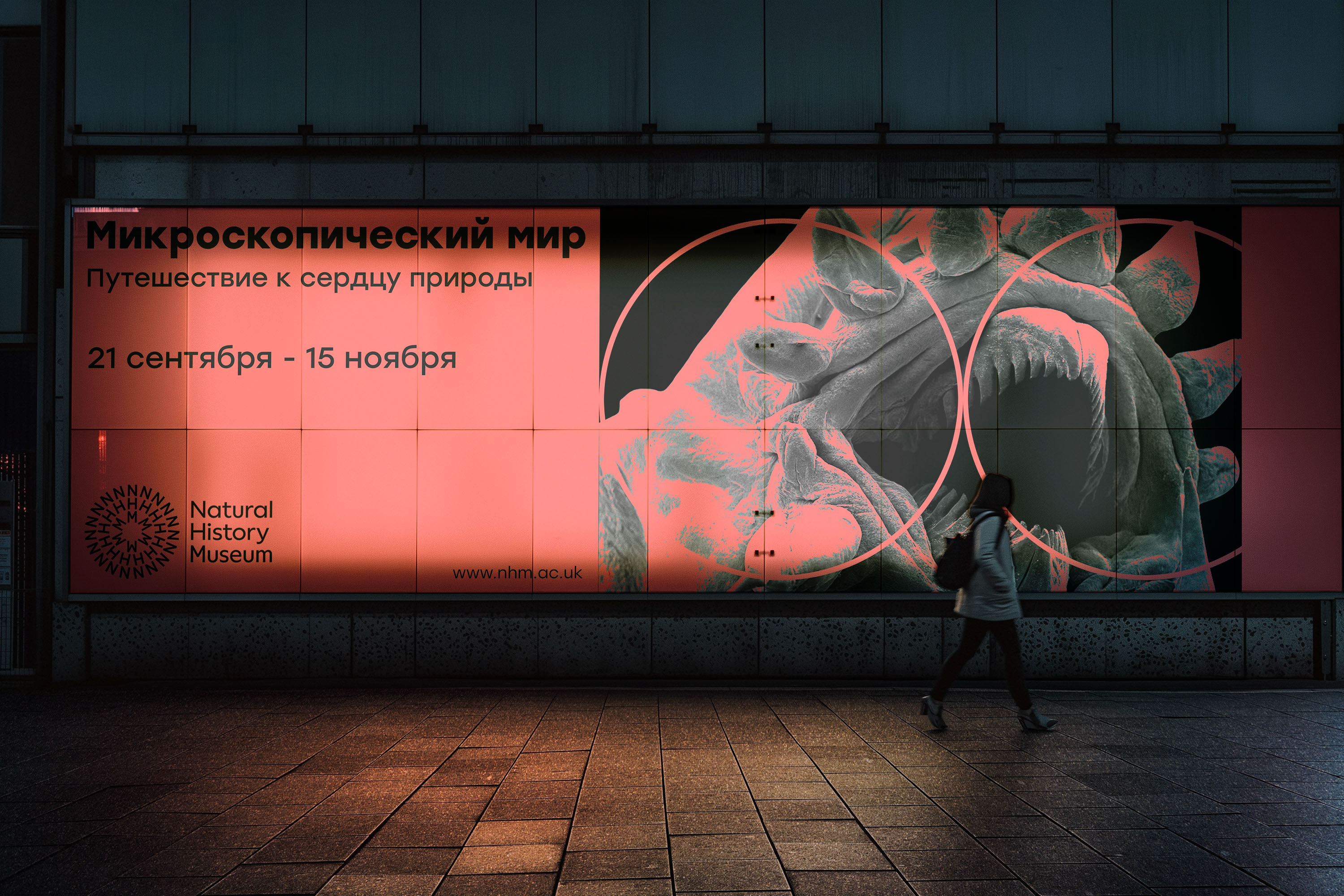 Музей Естественной Истории / Natural History Museum — Изображение №11 — Графика, Маркетинг на Dprofile