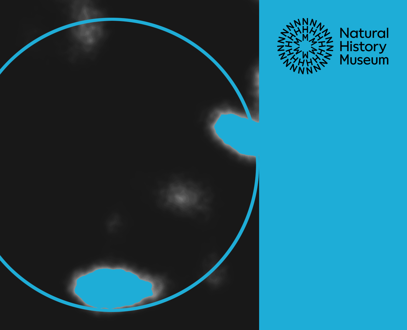 Музей Естественной Истории / Natural History Museum на Dprofile