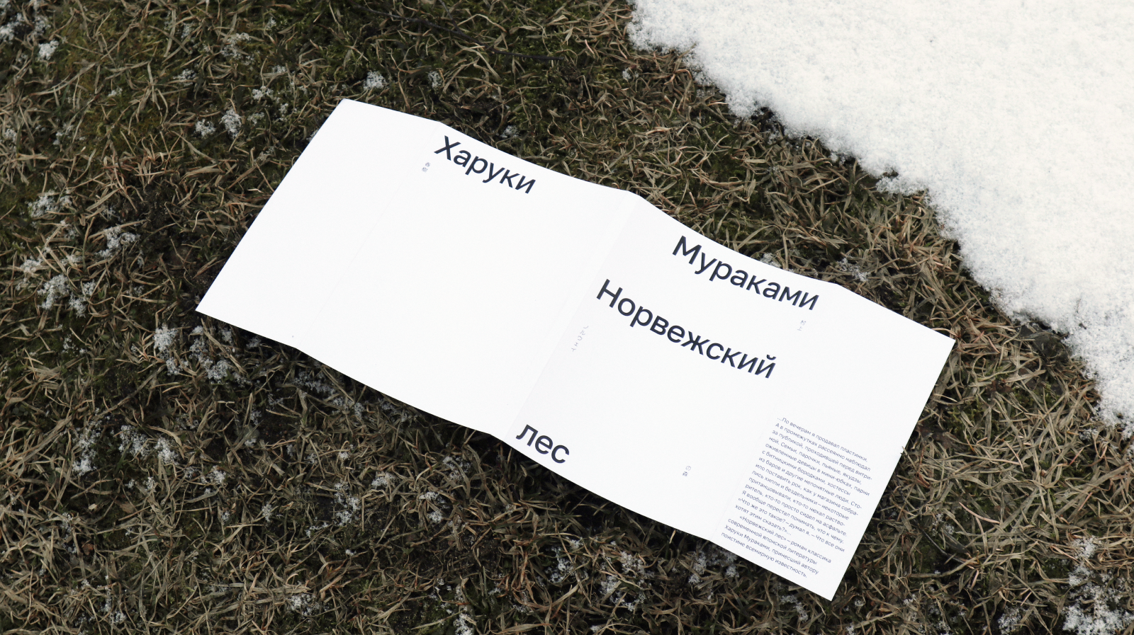 Серия обложек для книг Харуки Мураками — Изображение №4 — Графика на Dprofile
