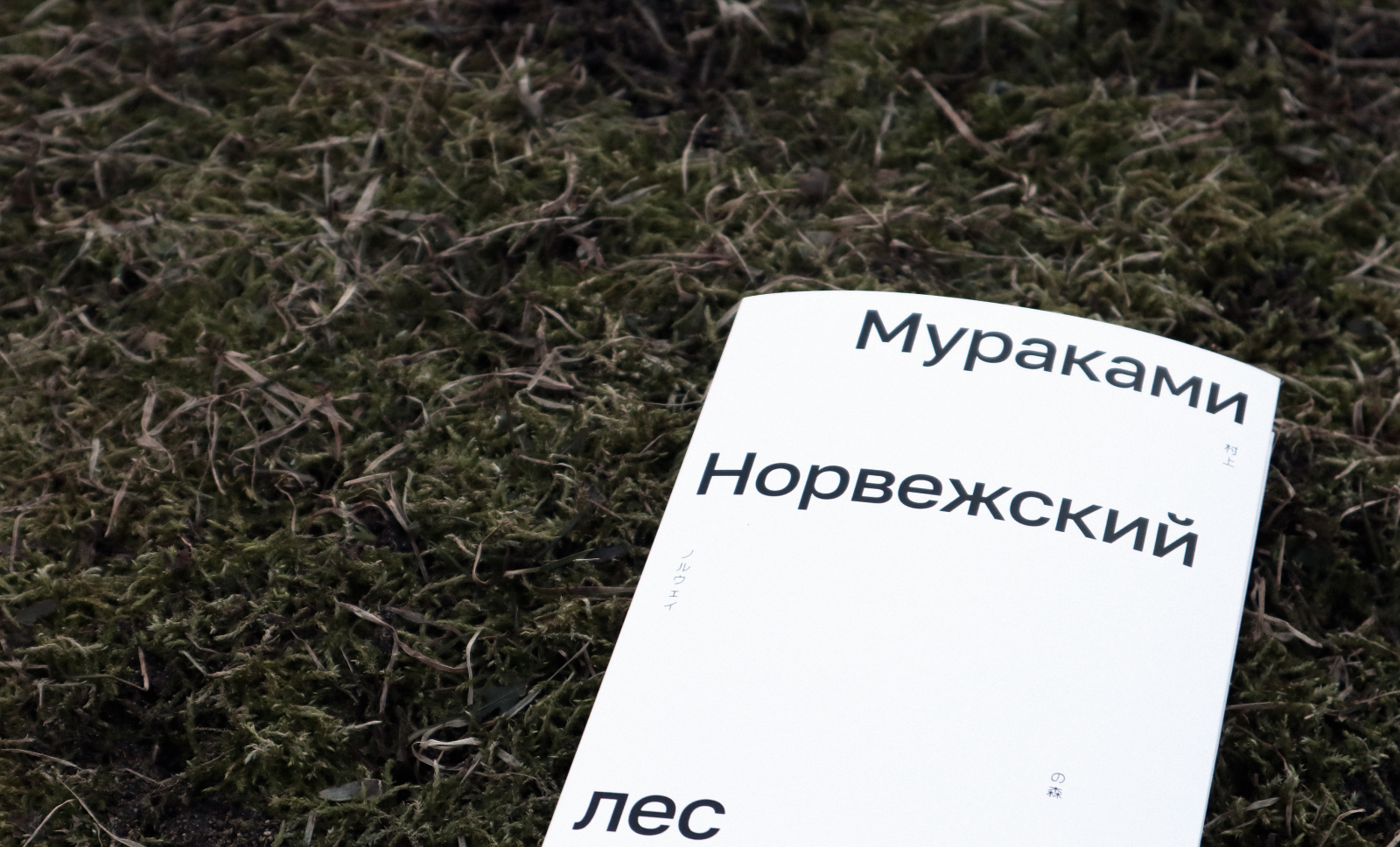 Серия обложек для книг Харуки Мураками — Изображение №2 — Графика на Dprofile