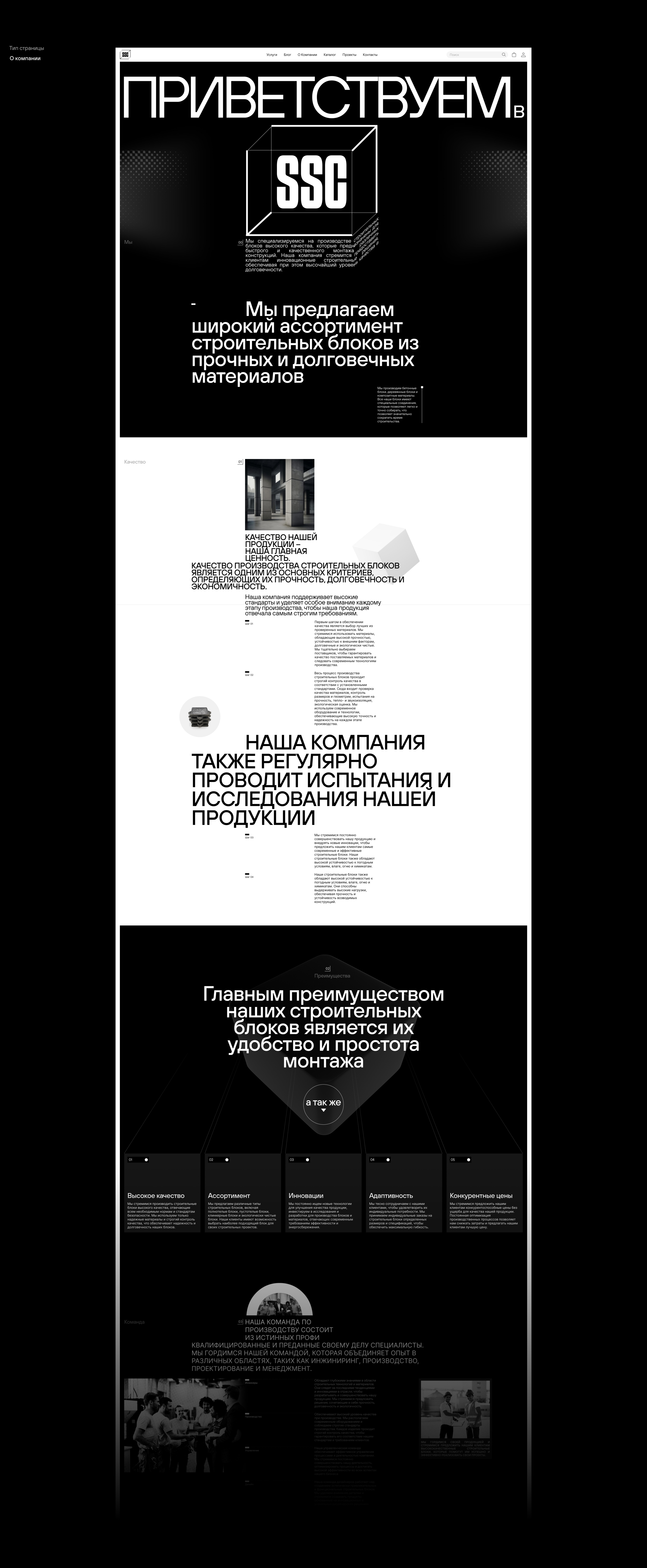 Solid Stone Creations — Изображение №14 — Интерфейсы, Брендинг на Dprofile