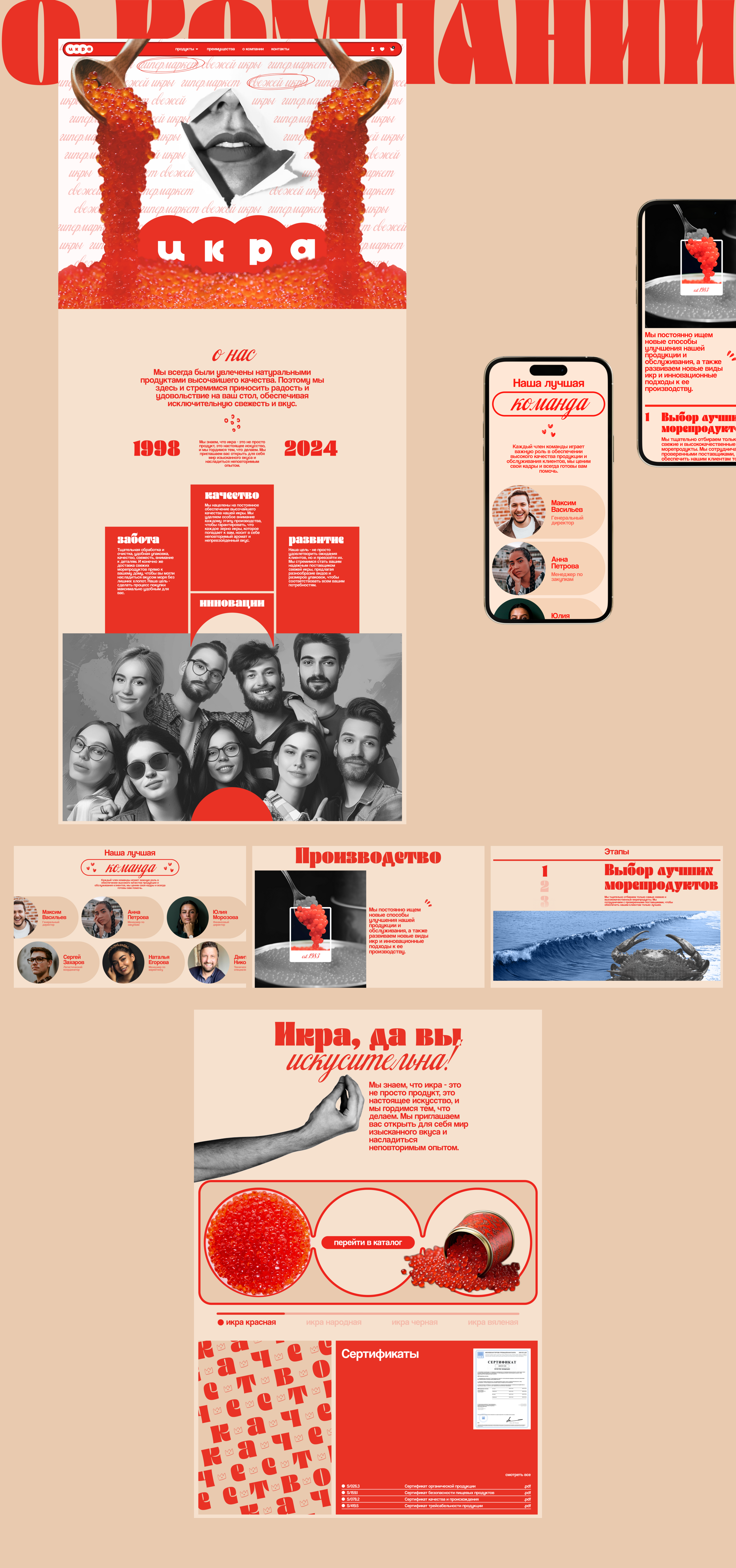 Красная икра — Изображение №10 — Интерфейсы, Брендинг на Dprofile