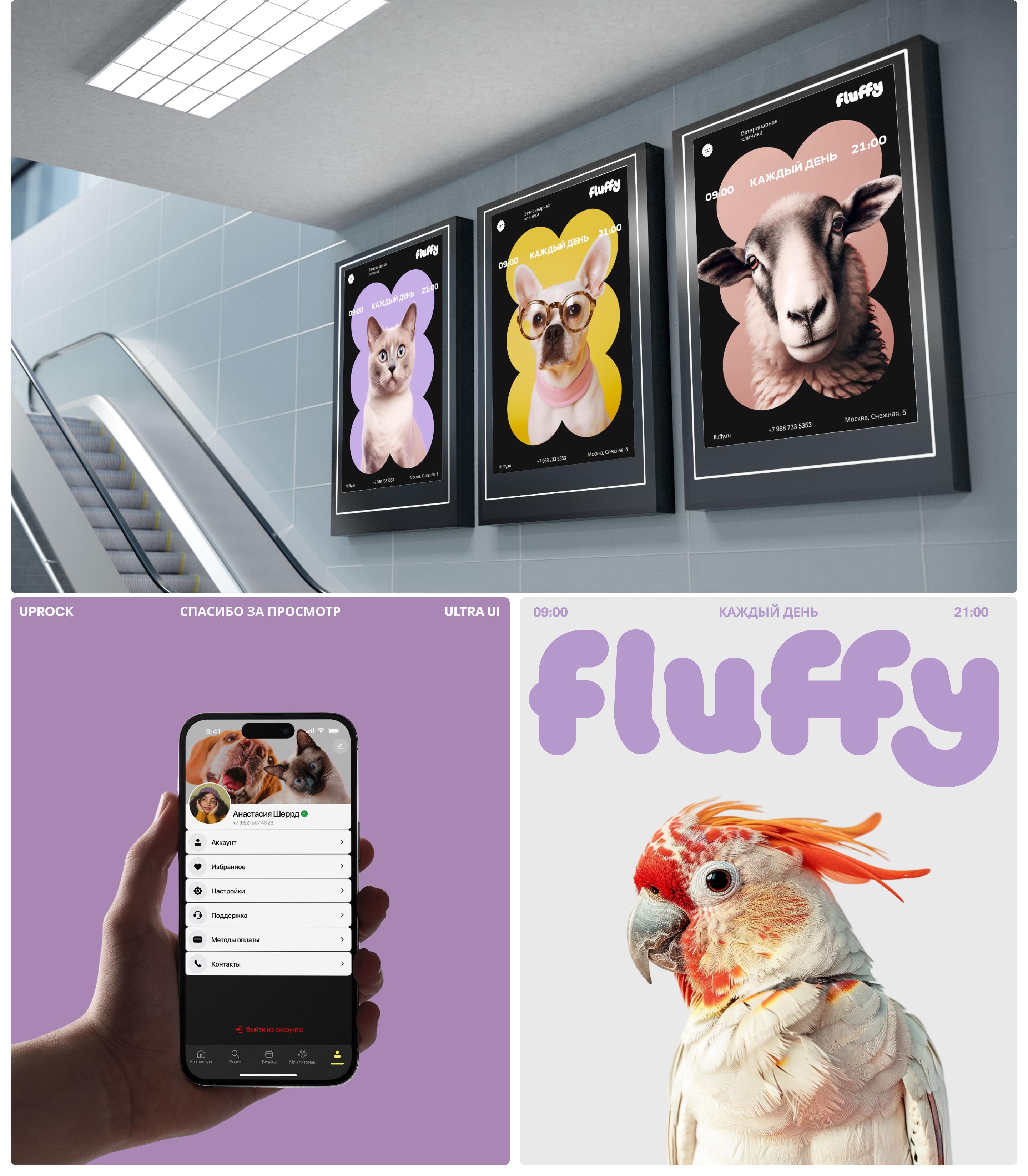 Fluffy — Изображение №6 — Интерфейсы, Брендинг на Dprofile