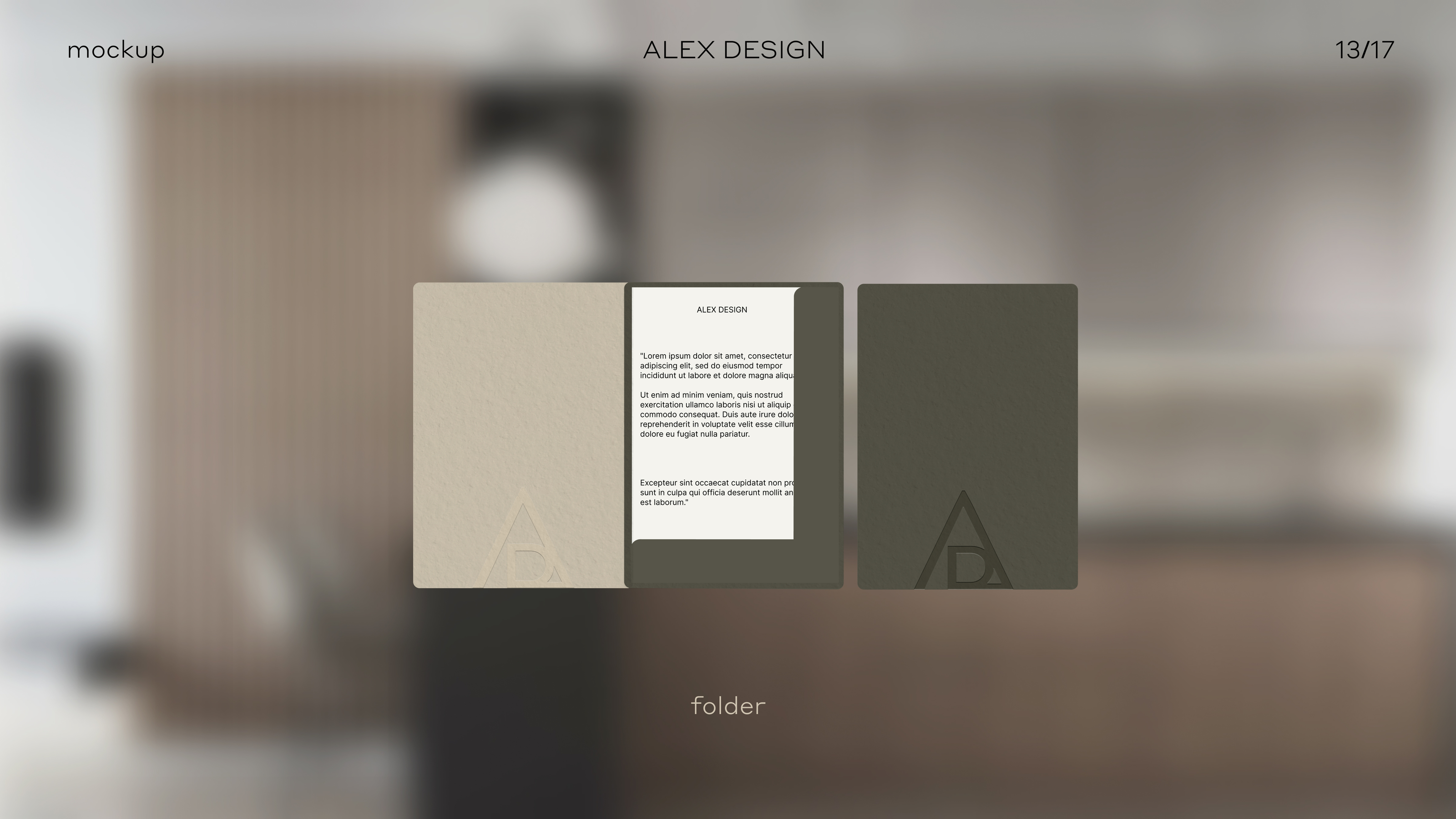 ALEX DESIGN | Brand Identity — Изображение №13 — Брендинг на Dprofile