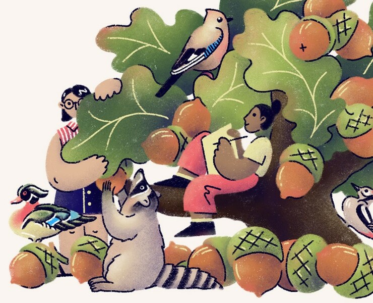 Acorn editorial illustrations / Иллюстрации c желудями на Dprofile