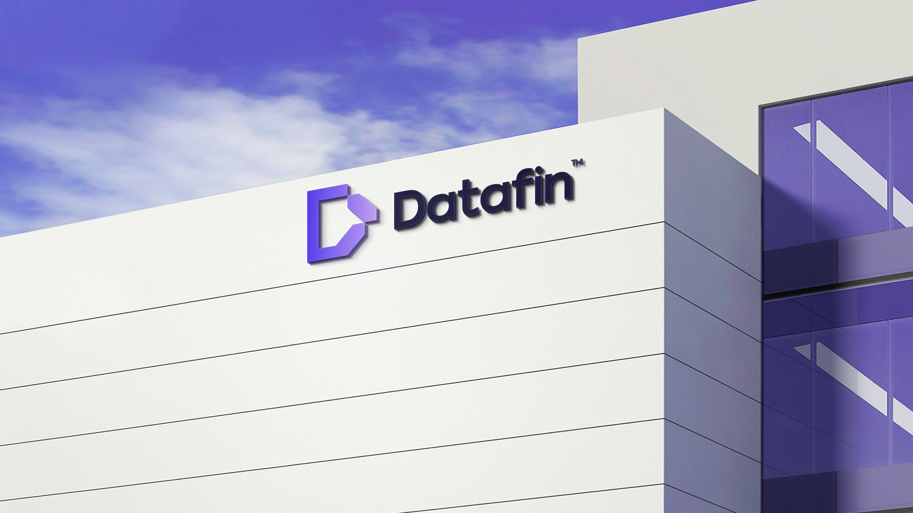 Datafin IT company — Изображение №14 — Брендинг на Dprofile
