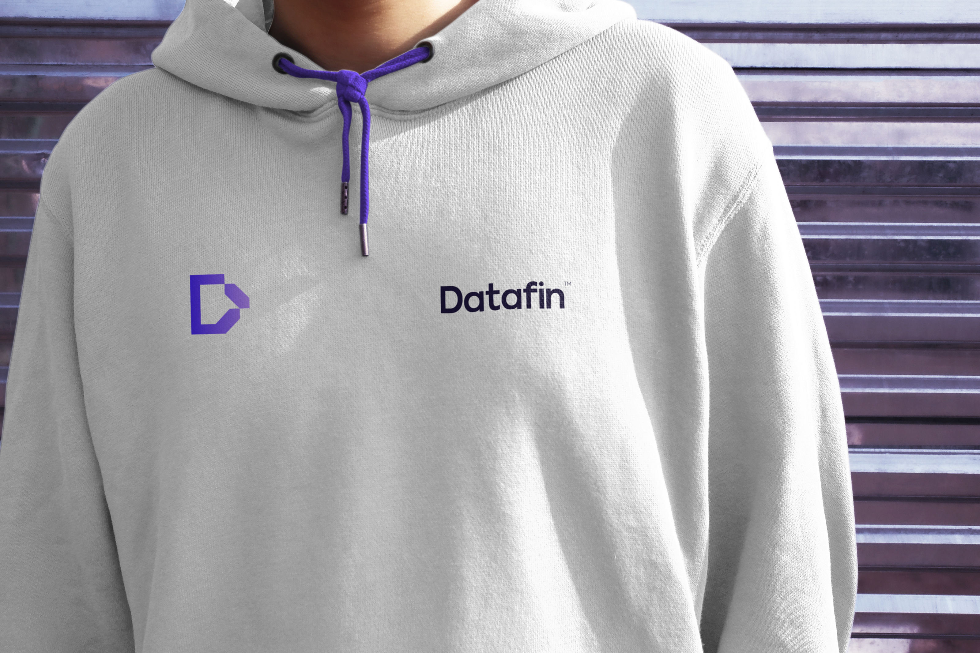 Datafin IT company — Изображение №16 — Брендинг на Dprofile