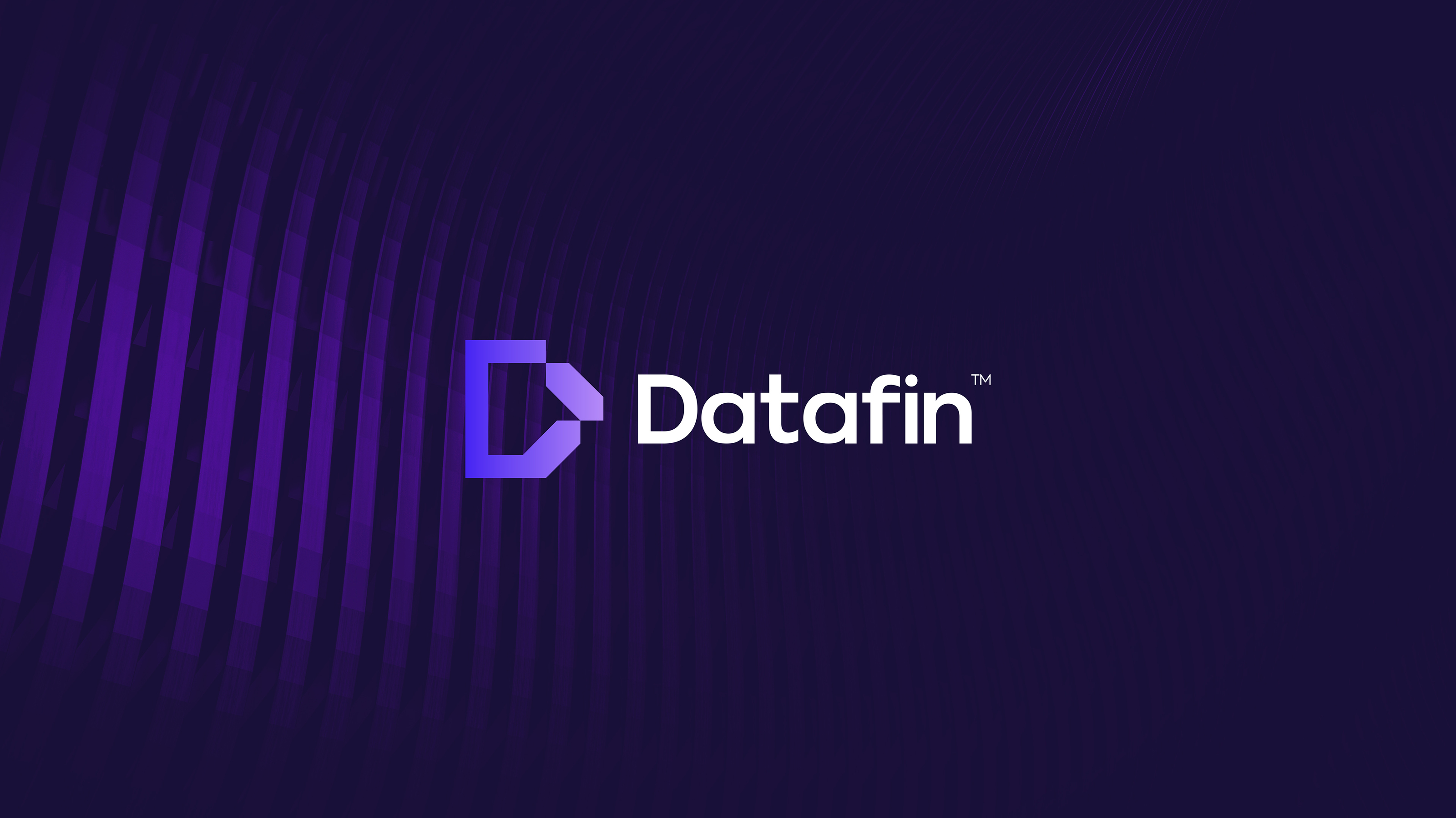 Datafin IT company — Изображение №2 — Брендинг на Dprofile