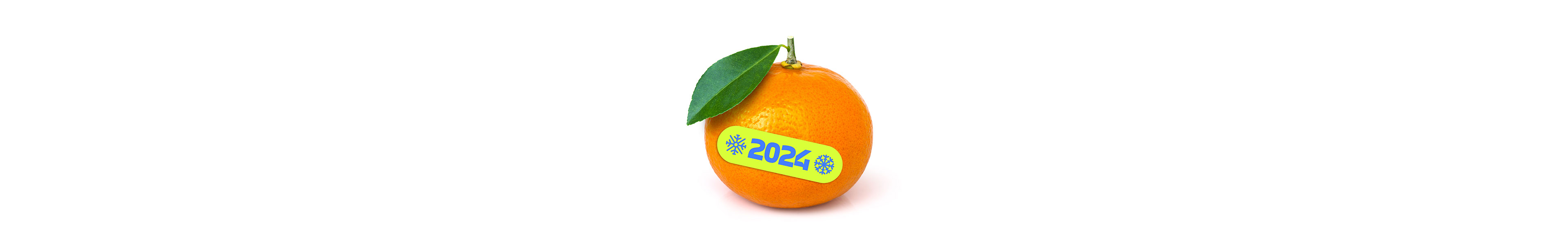NEW YEAR 2024 merch — Изображение №27 — Брендинг на Dprofile