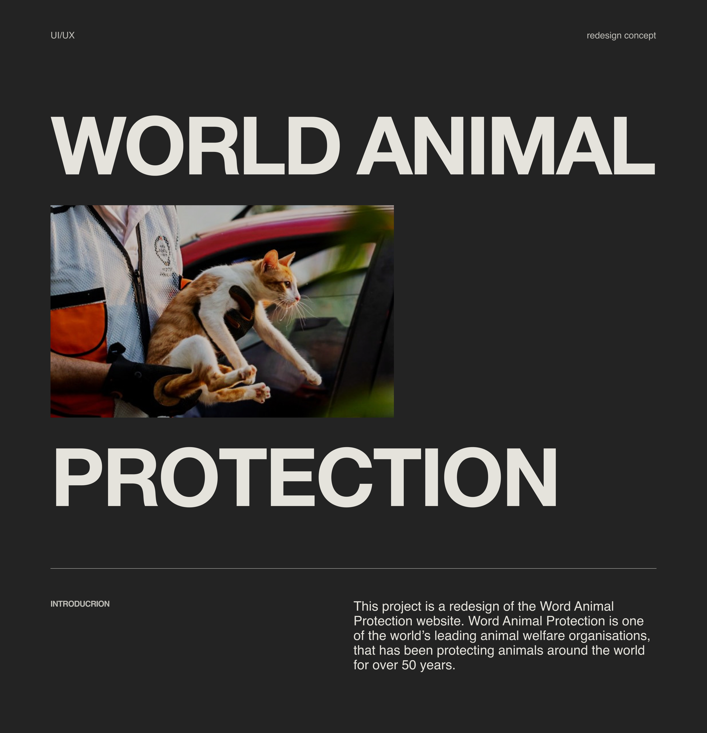 World Animal Protection — Website Concept — Изображение №1 — Интерфейсы на Dprofile