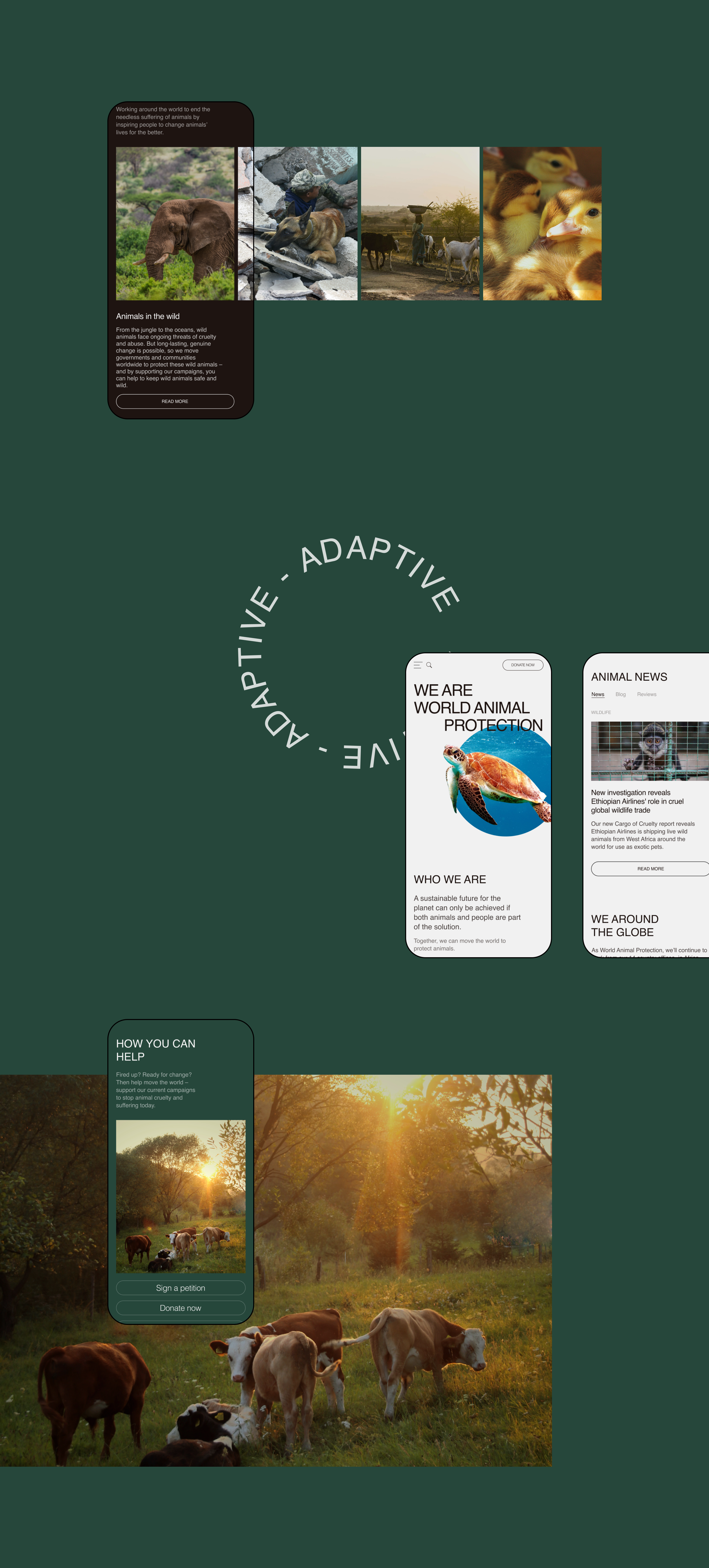 World Animal Protection — Website Concept — Изображение №3 — Интерфейсы на Dprofile