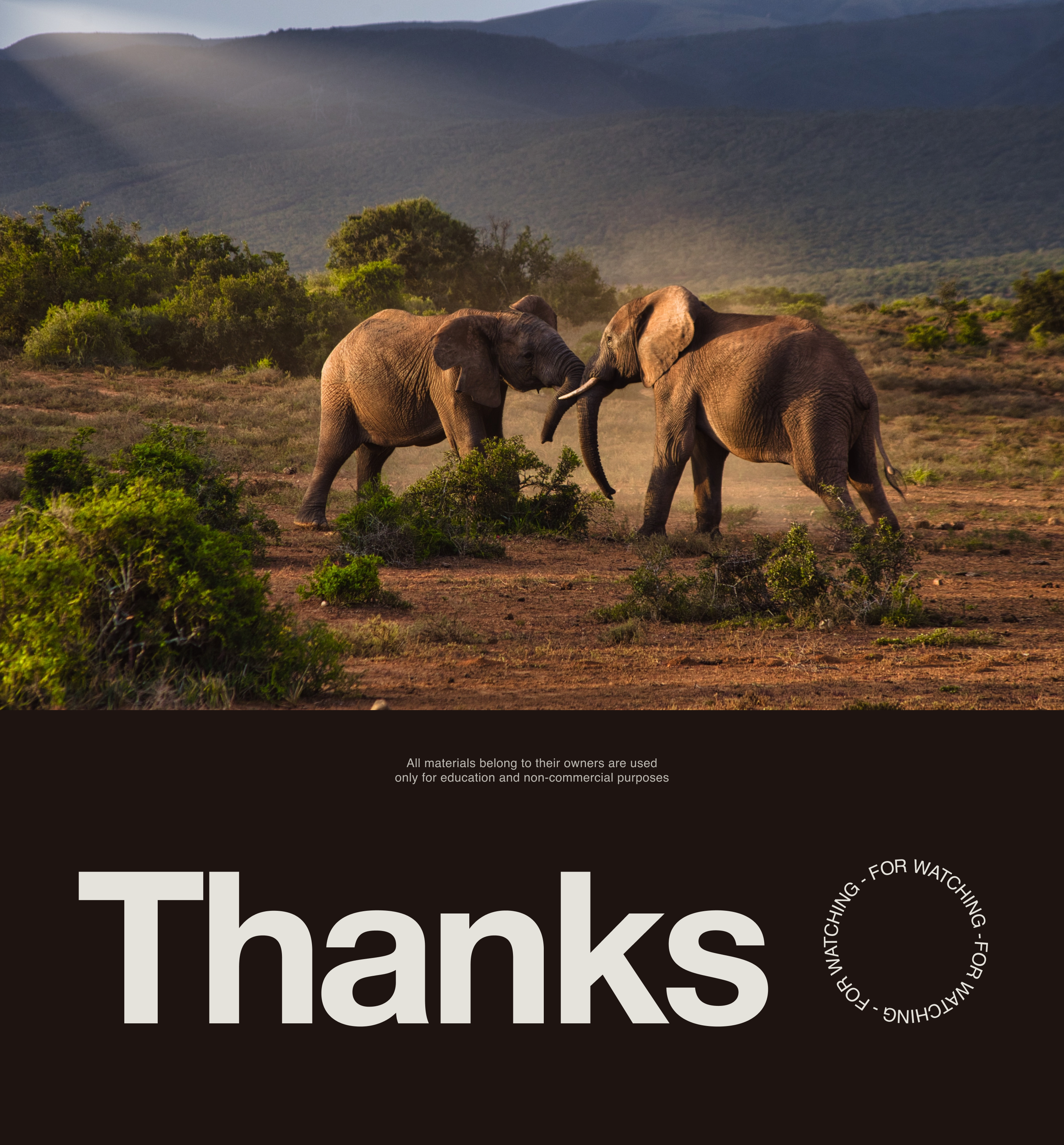 World Animal Protection — Website Concept — Изображение №11 — Интерфейсы на Dprofile