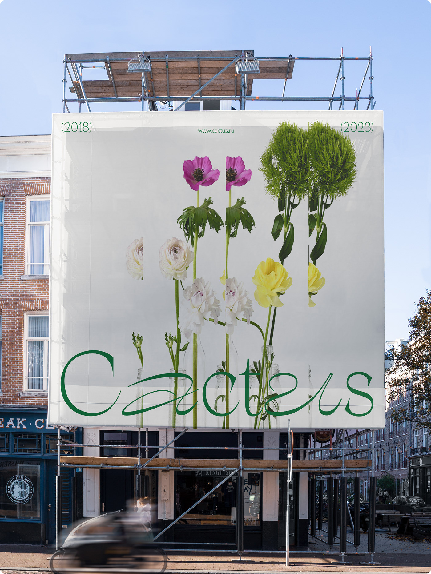 Cactus - айдентика для цветочной студии — Изображение №5 — Брендинг на Dprofile