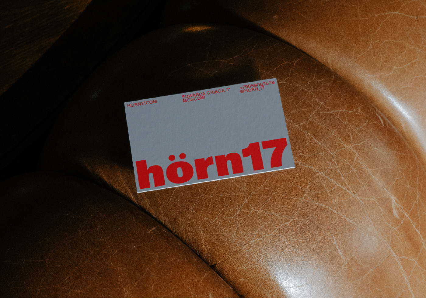 Horn17 — Изображение №4 — Брендинг на Dprofile