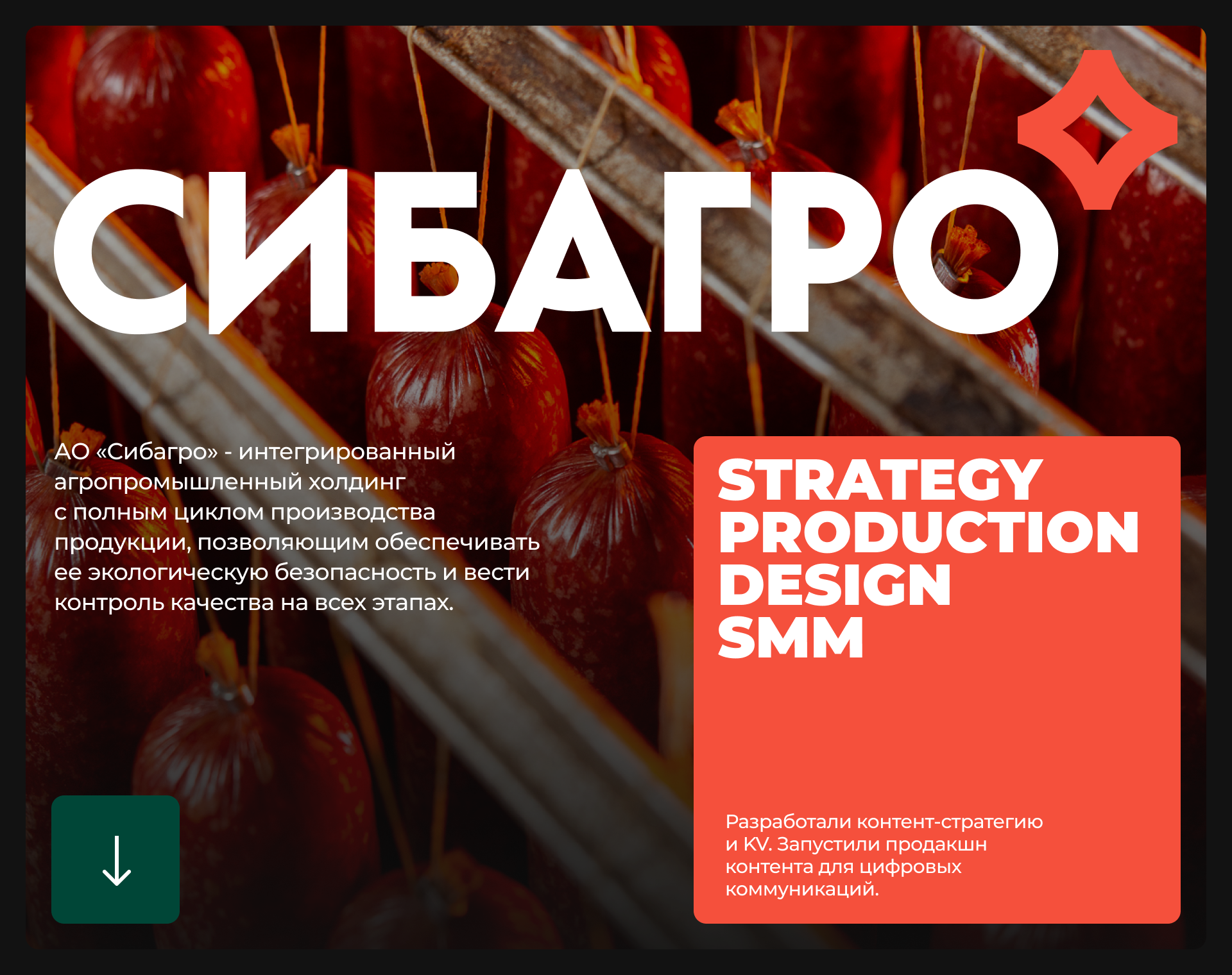 СИБАГРО — Изображение №2 — Брендинг, Маркетинг на Dprofile