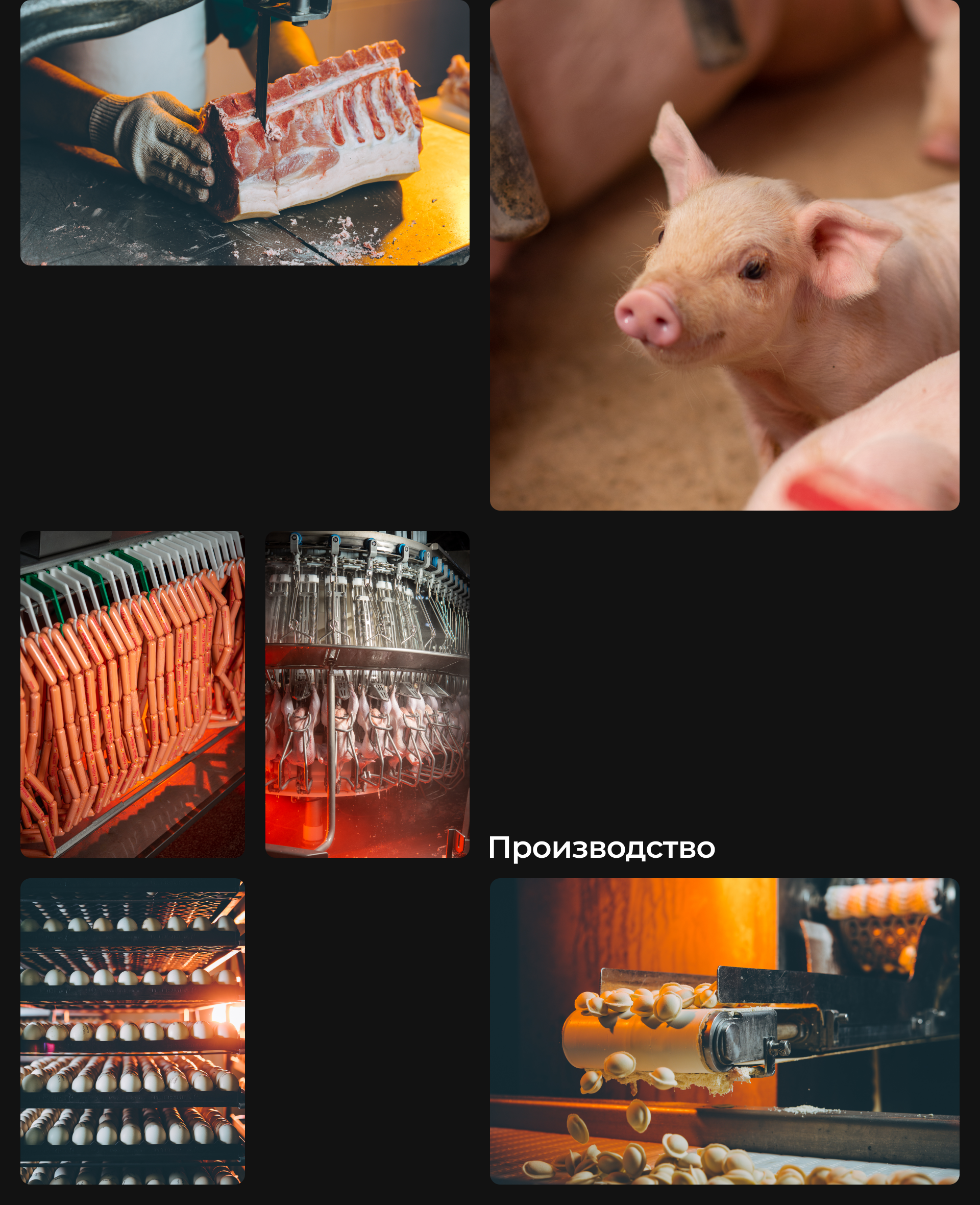 СИБАГРО — Изображение №9 — Брендинг, Маркетинг на Dprofile