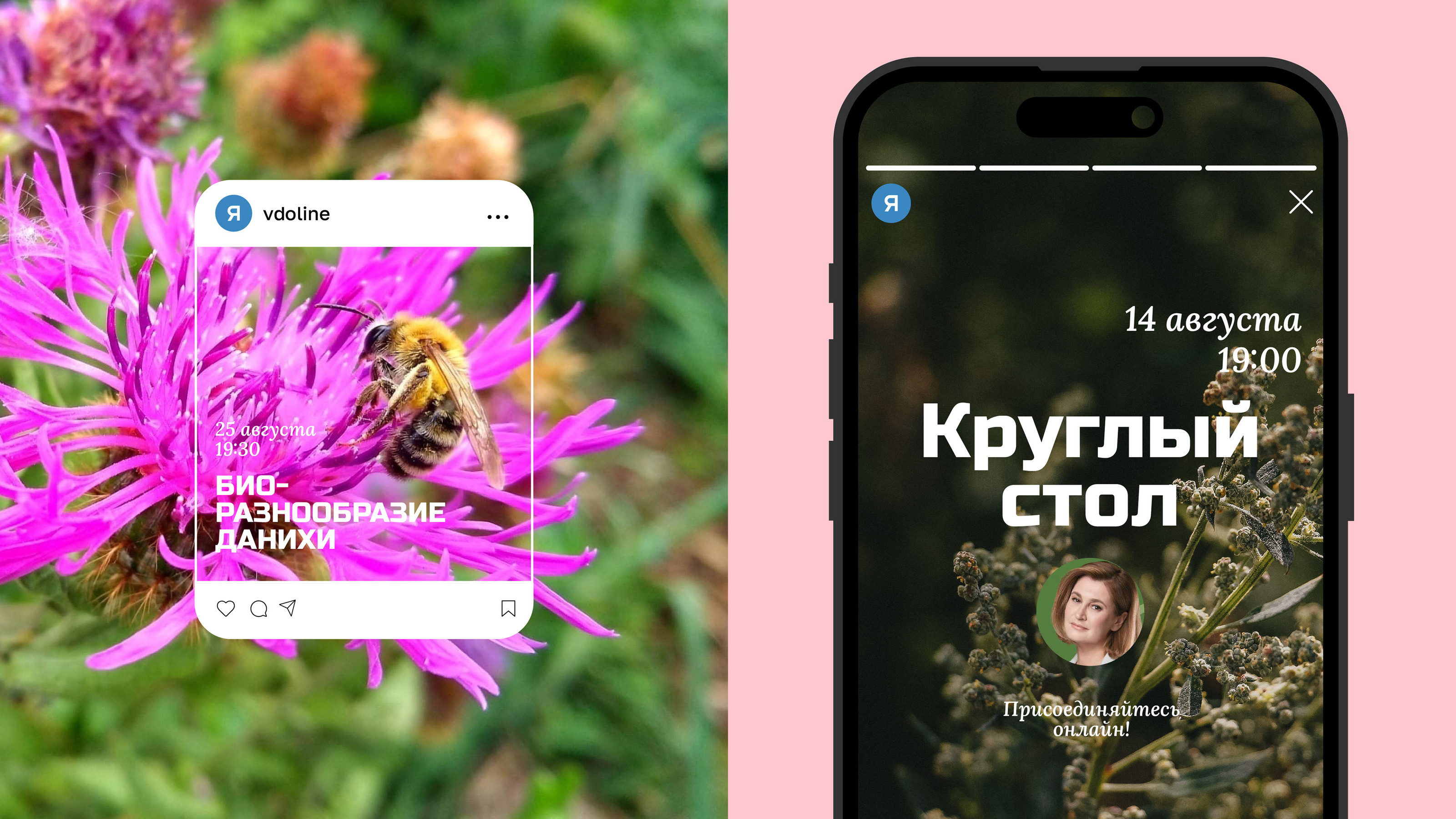 Я живу в долине/Я живу у леса — Изображение №16 — Брендинг, Иллюстрация на Dprofile
