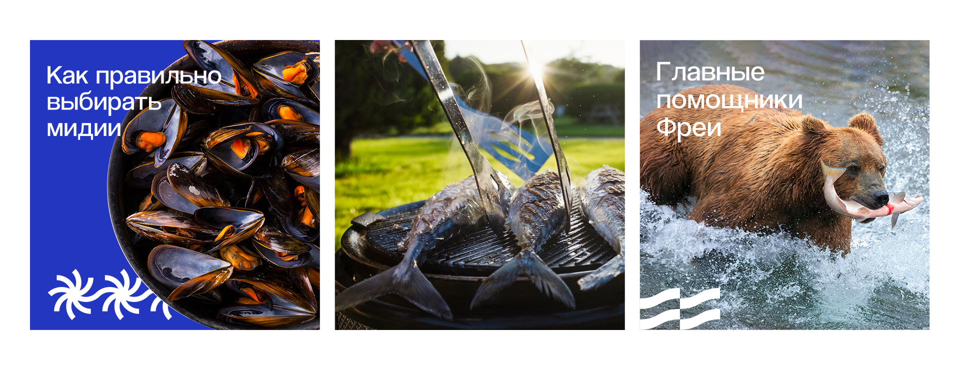 Freymar | Брендинг
для интернет-магазина морепродуктов — Изображение №19 — Интерфейсы, Брендинг на Dprofile