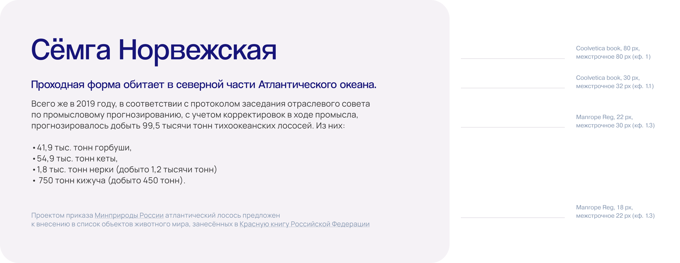 Freymar | Брендинг
для интернет-магазина морепродуктов — Изображение №5 — Интерфейсы, Брендинг на Dprofile