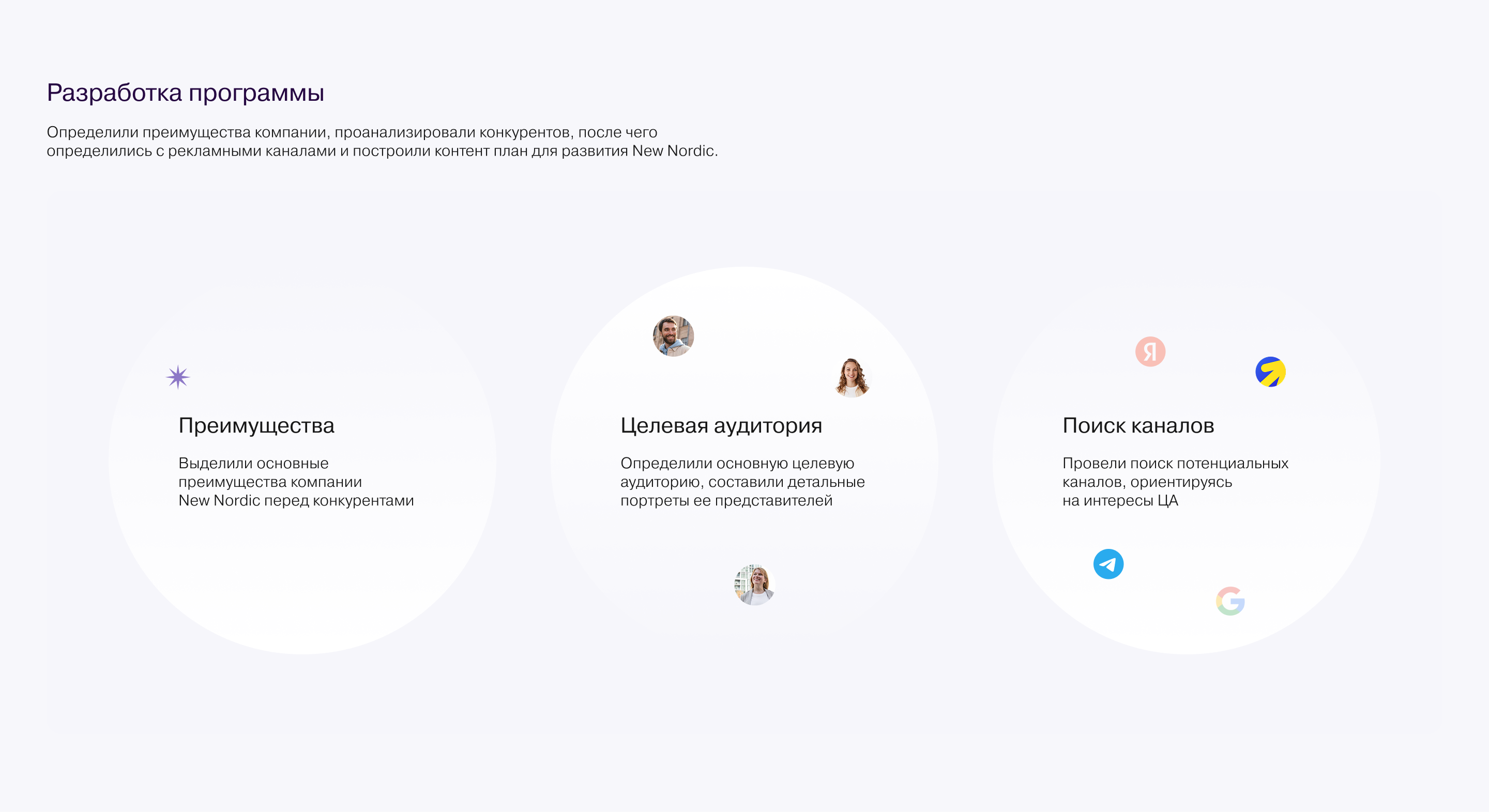 Комплексный маркетинг для компании NEW NORDIC — Изображение №10 — Маркетинг на Dprofile
