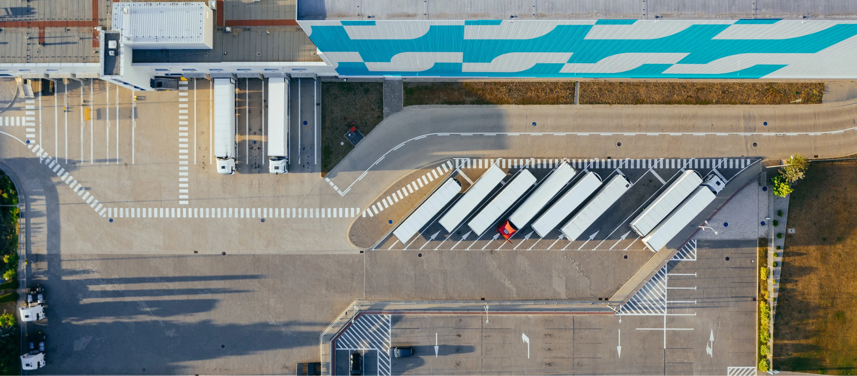 T company | Брендинг поставщика клининговых технологий — Изображение №18 — Брендинг на Dprofile