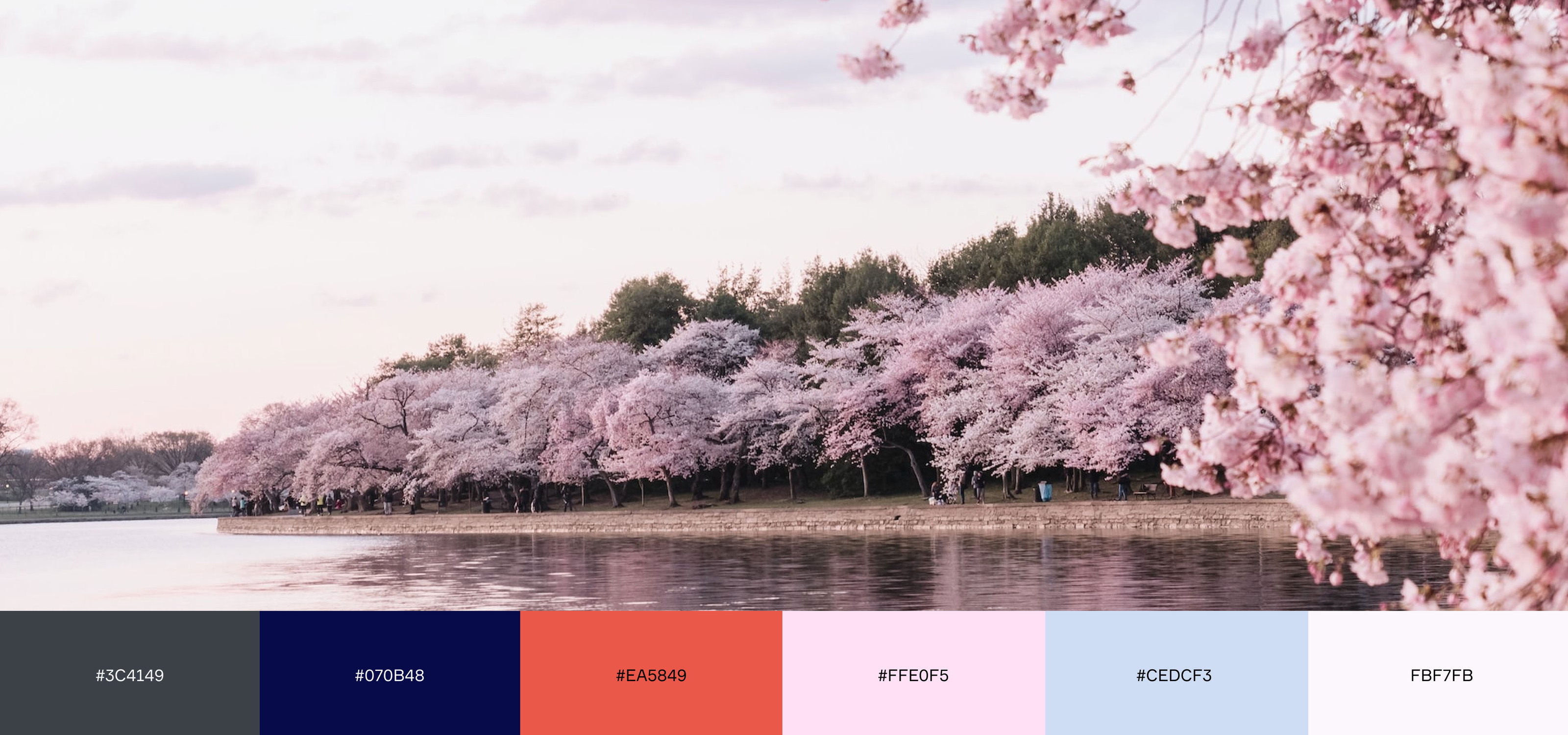 Sanebi | Брендинг и продвижение ресторана японской кухни — Изображение №5 — Брендинг на Dprofile