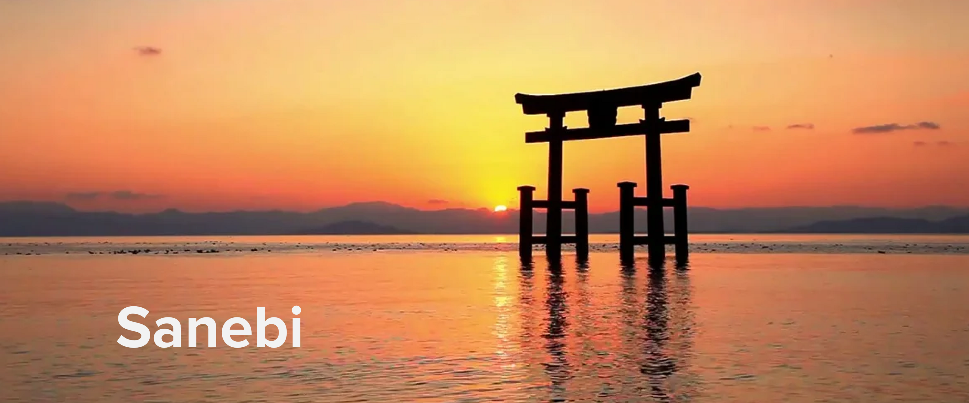 Sanebi | Брендинг и продвижение ресторана японской кухни — Изображение №2 — Брендинг на Dprofile