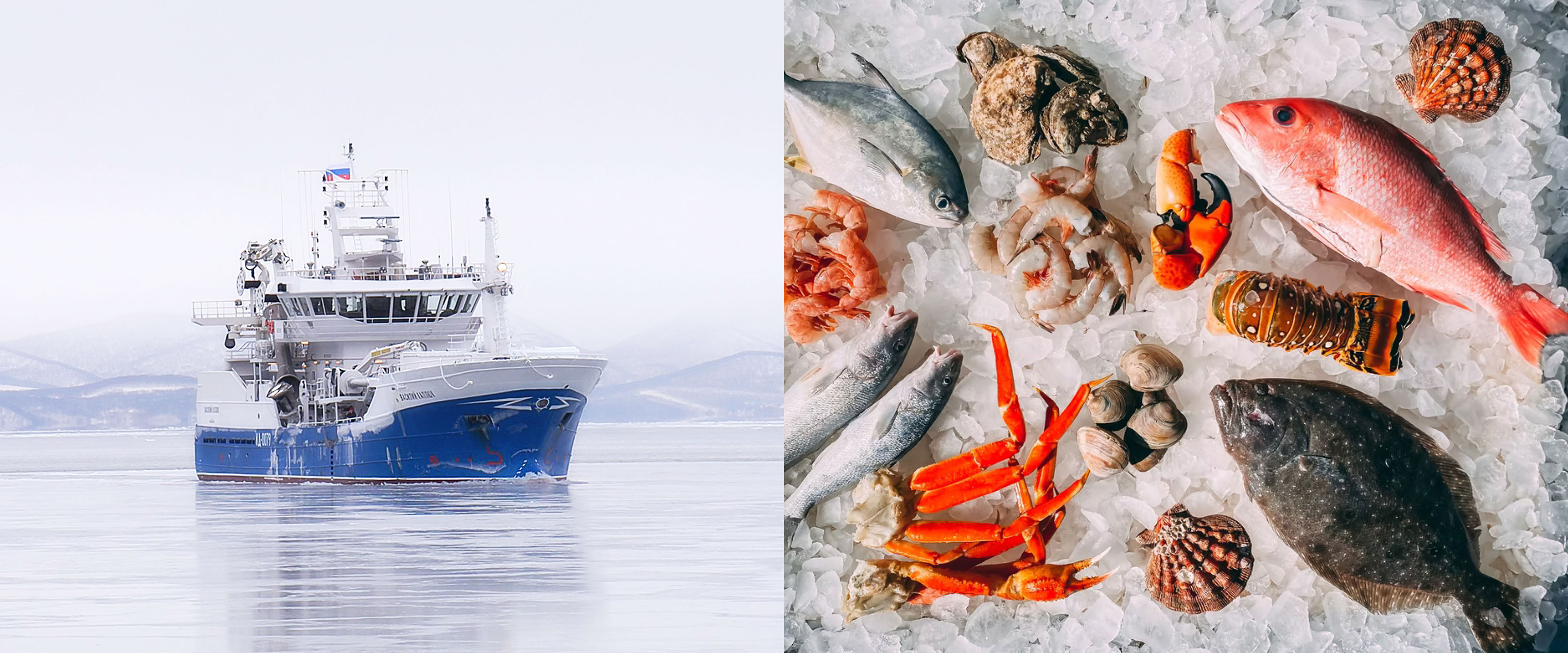 Sanebi | Брендинг и продвижение ресторана японской кухни — Изображение №1 — Брендинг на Dprofile