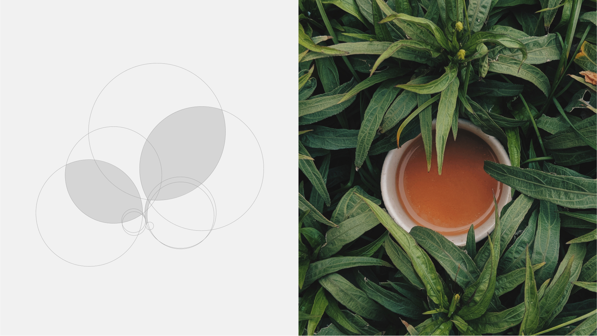 lucky tea — Изображение №3 — Брендинг на Dprofile