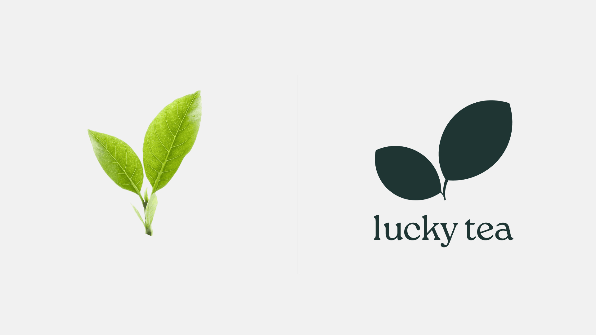 lucky tea — Изображение №4 — Брендинг на Dprofile