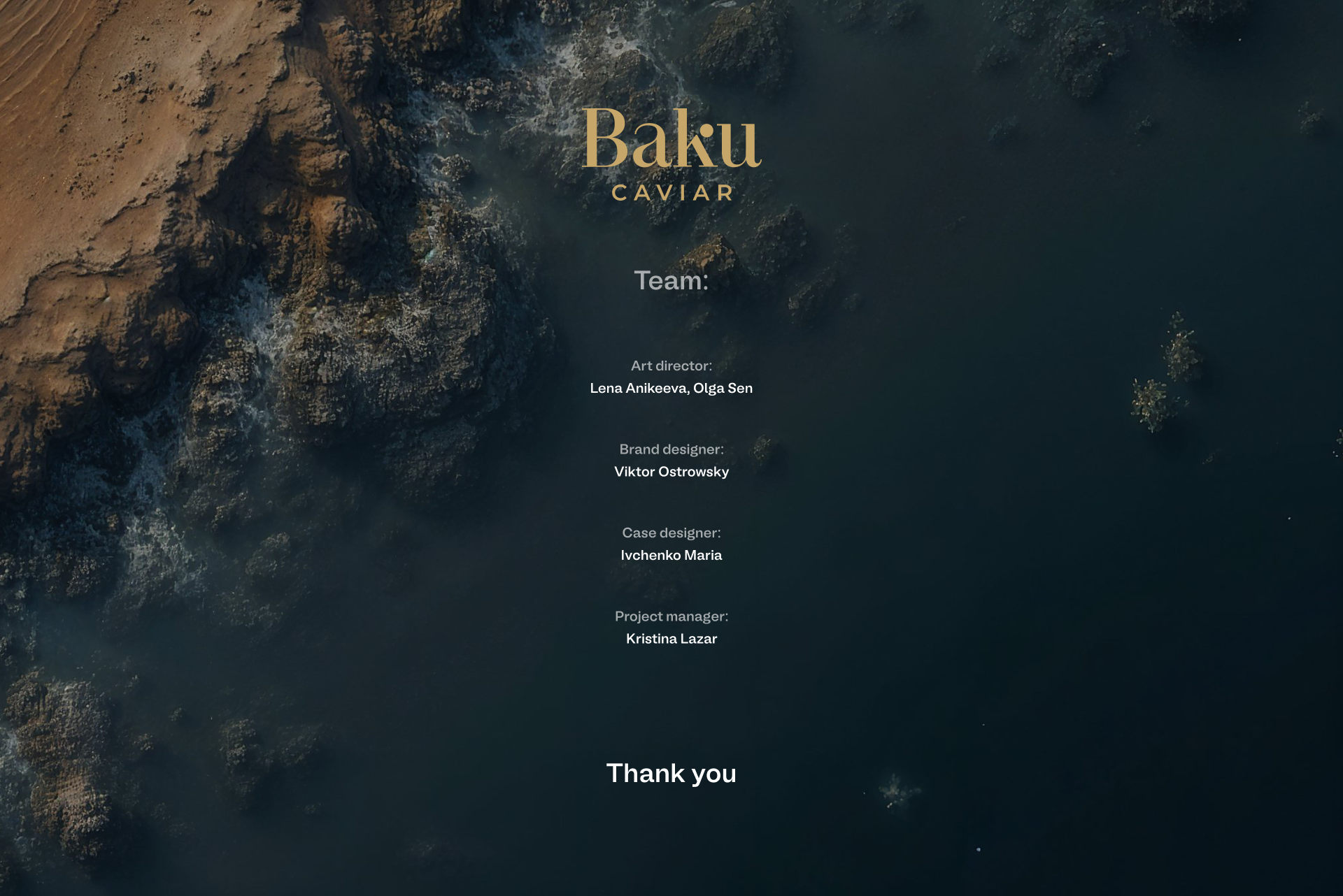Baku caviar — Изображение №20 — Брендинг на Dprofile