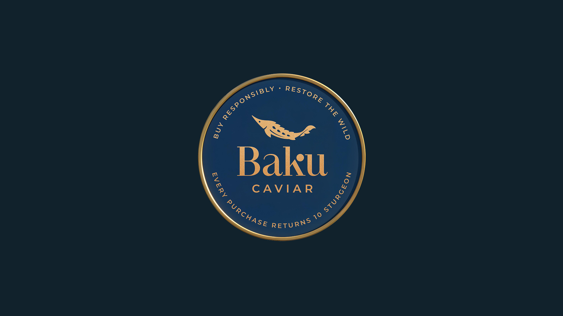 Baku caviar — Изображение №14 — Брендинг на Dprofile