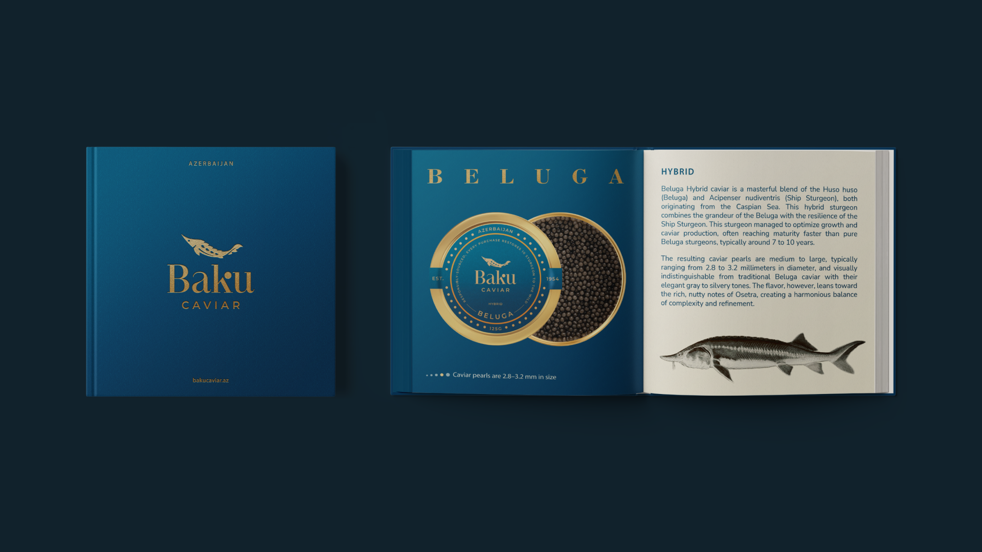 Baku caviar — Изображение №8 — Брендинг на Dprofile