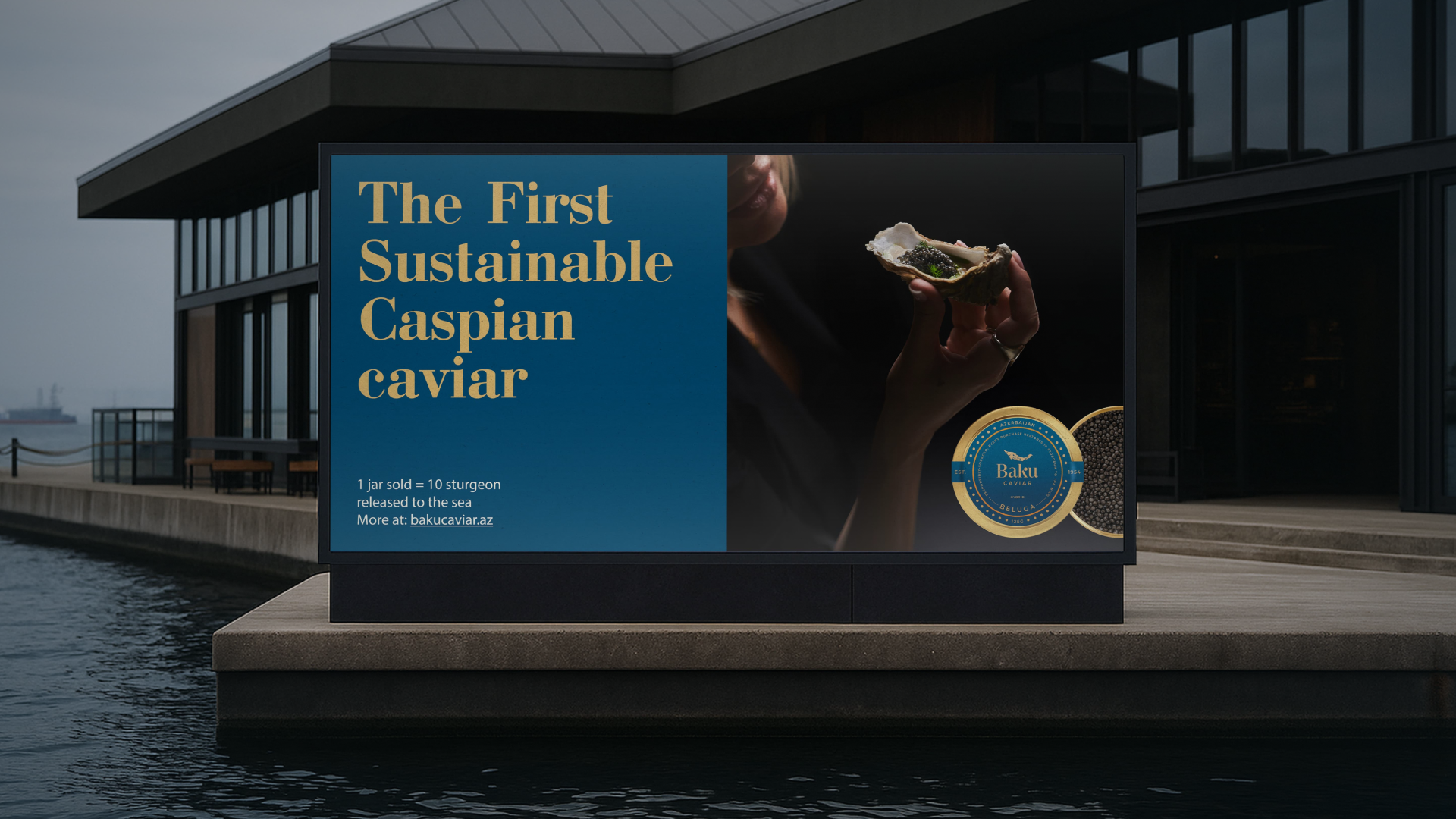 Baku caviar — Изображение №12 — Брендинг на Dprofile
