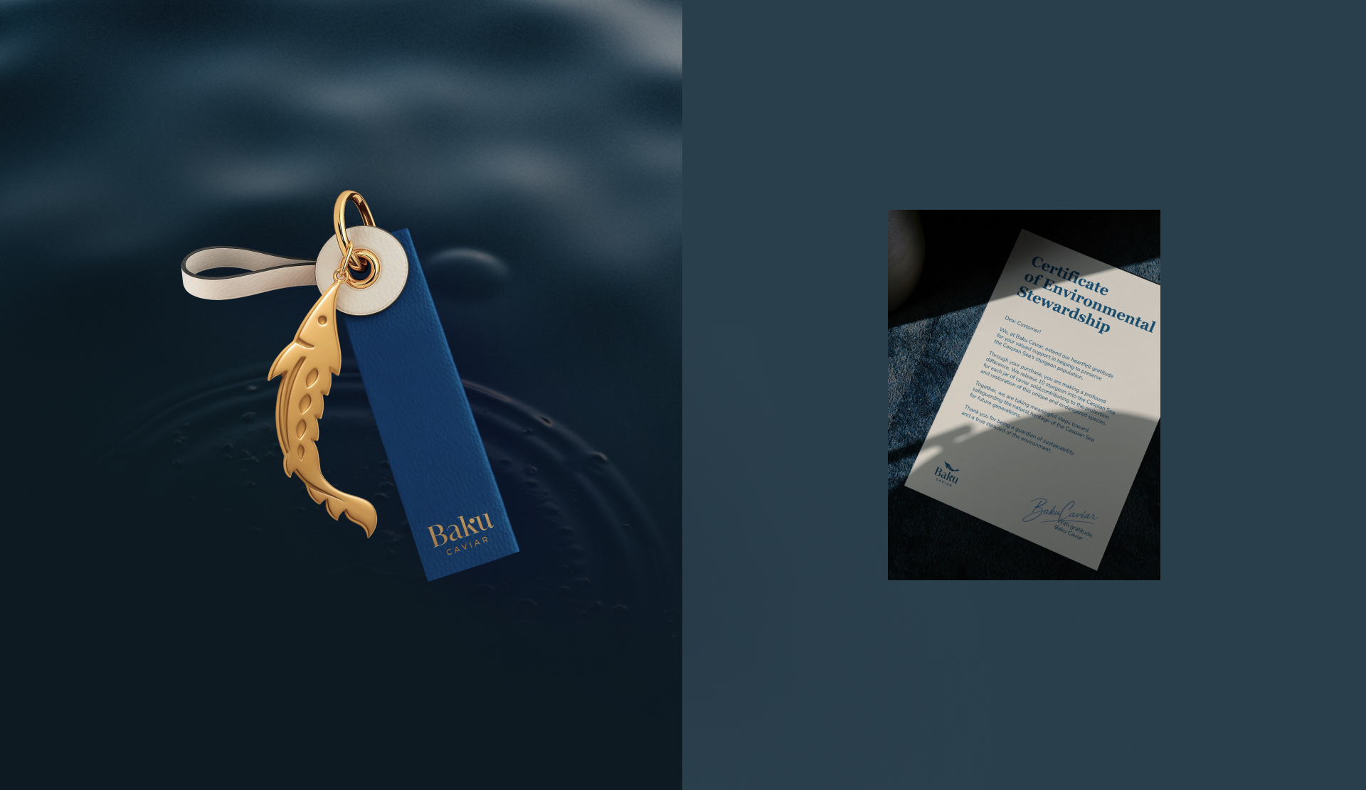 Baku caviar — Изображение №11 — Брендинг на Dprofile