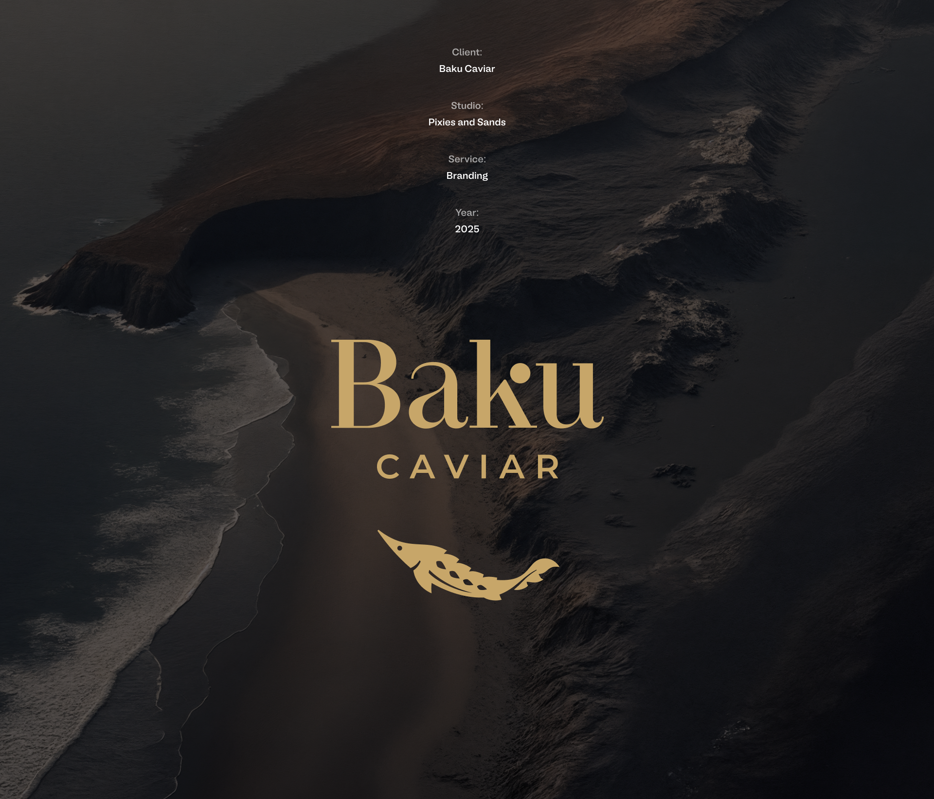Baku caviar — Изображение №1 — Брендинг на Dprofile