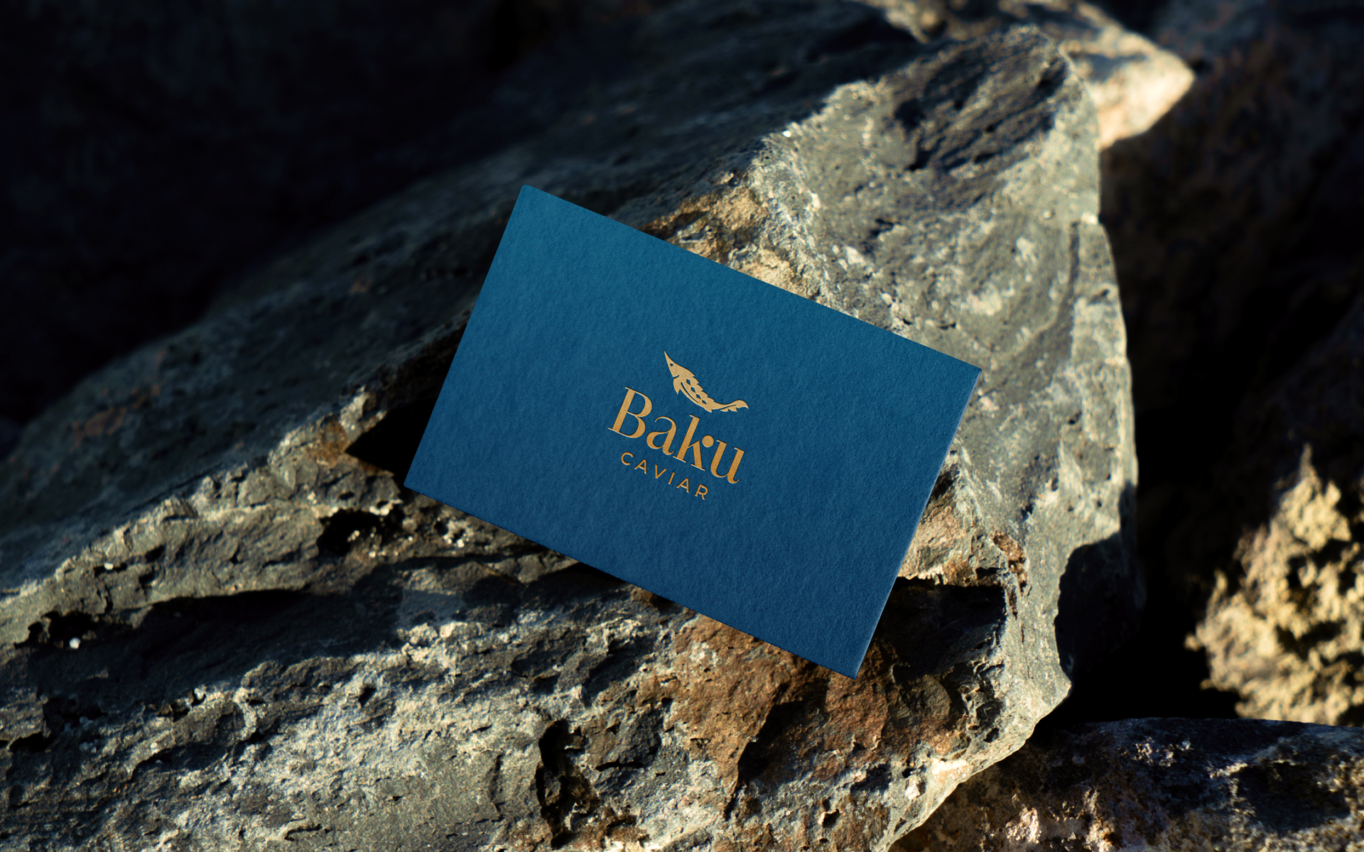 Baku caviar — Изображение №9 — Брендинг на Dprofile