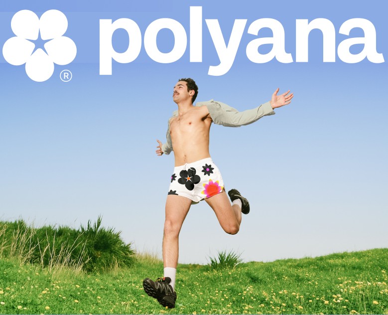 Polyana — Интерфейсы, Брендинг на Dprofile