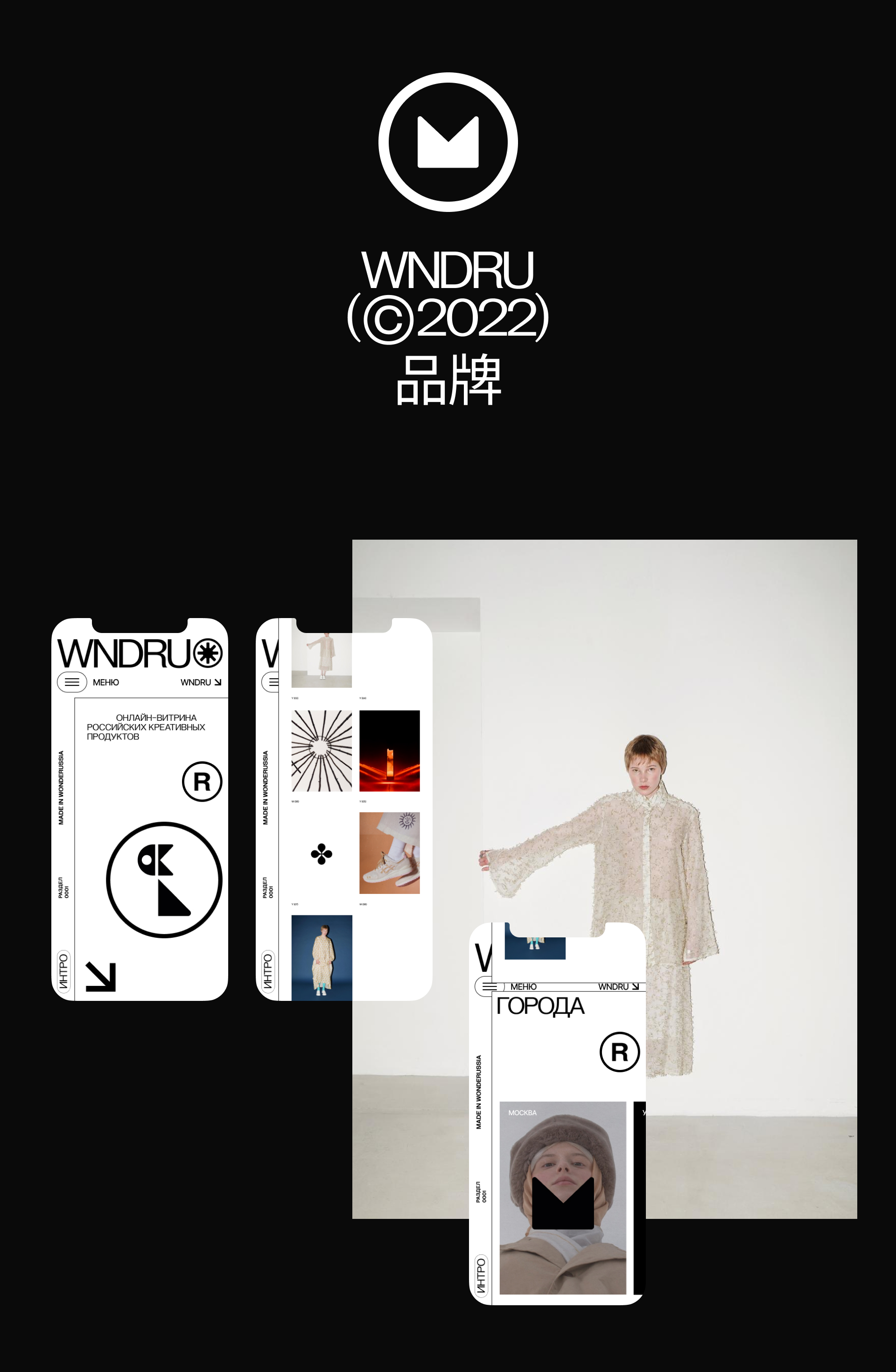 WONDERUSSIA — Изображение №7 — Интерфейсы, Брендинг на Dprofile