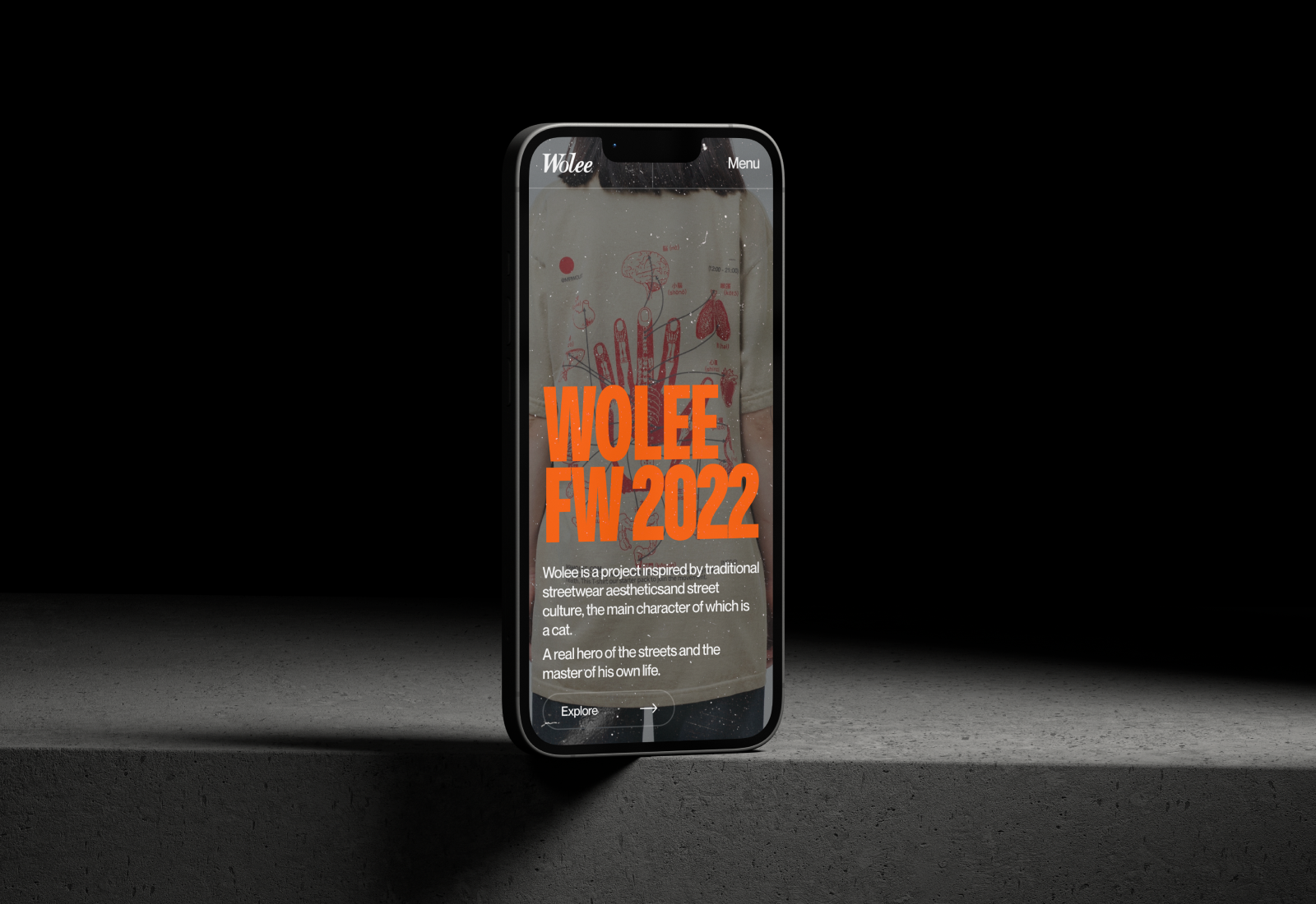 Wolee Store. Redesign concept — Изображение №4 — Интерфейсы, Графика на Dprofile