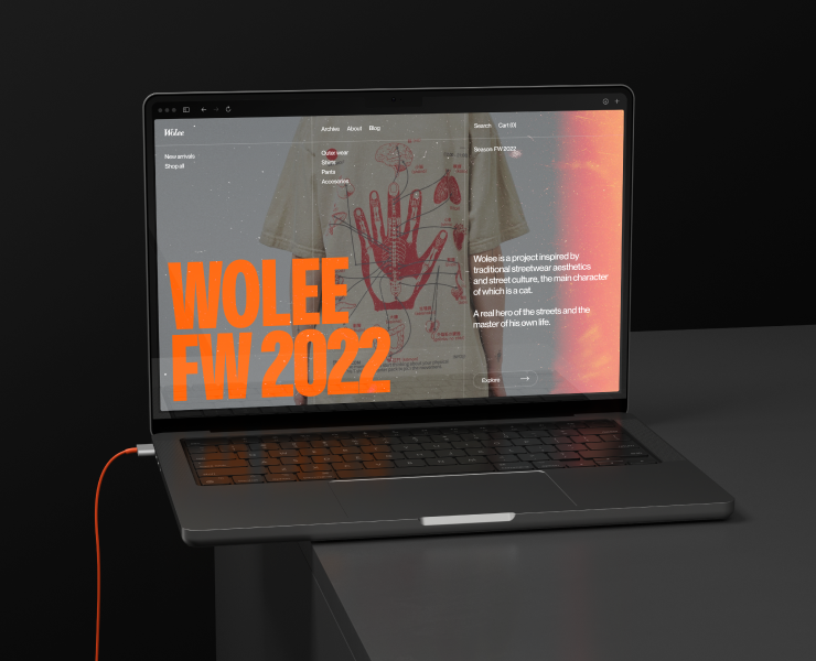 Wolee Store. Redesign concept — Интерфейсы, Графика на Dprofile