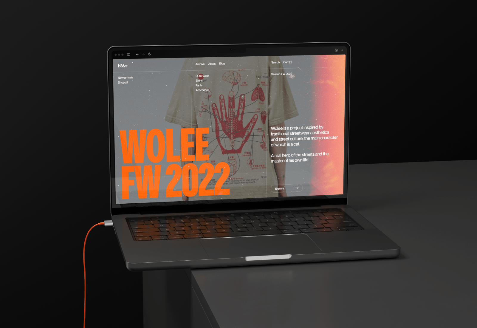 Wolee Store. Redesign concept — Изображение №1 — Интерфейсы, Графика на Dprofile