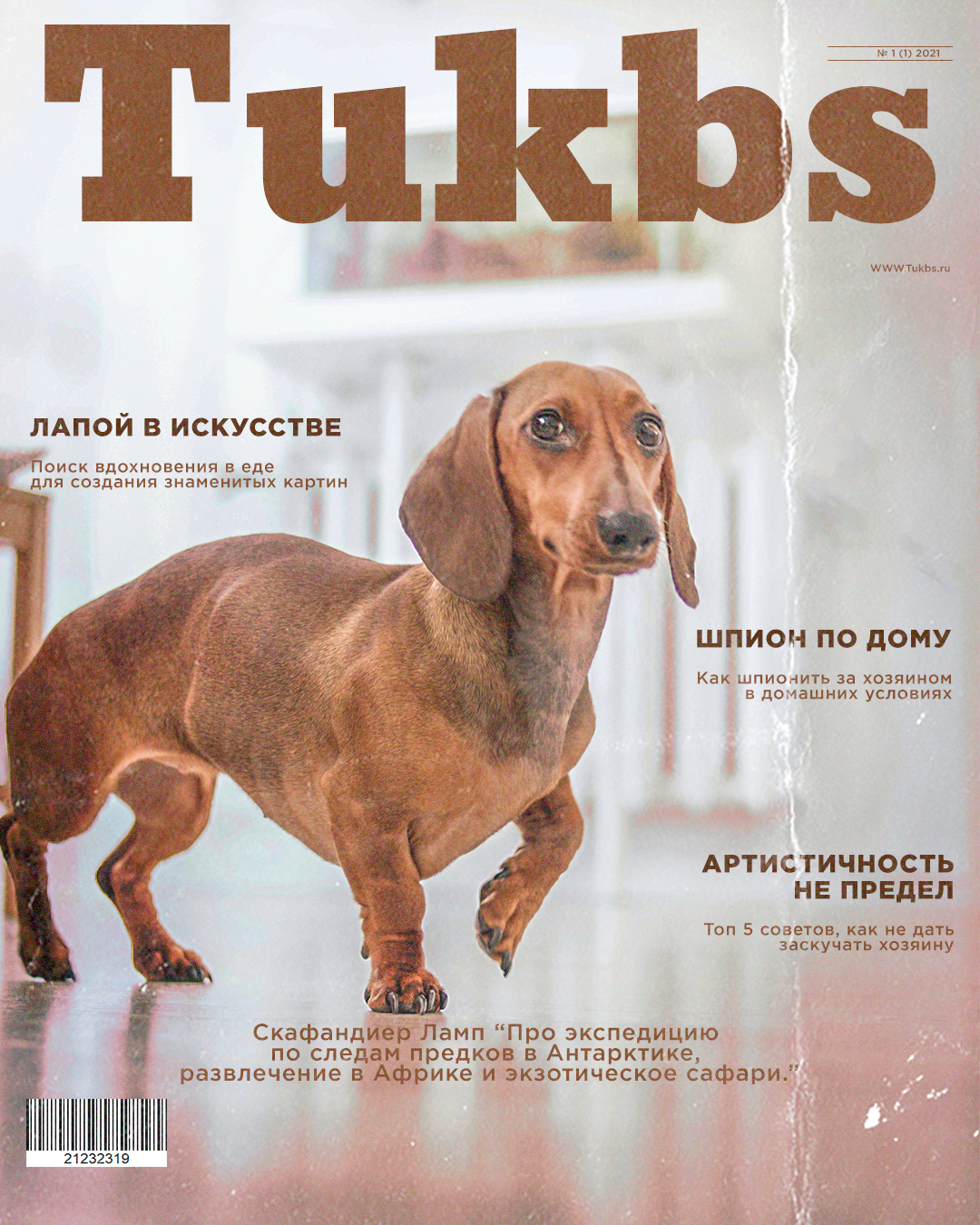 Гламурный журнал о котиках "Murbs" — Изображение №4 — Брендинг, Графика на Dprofile