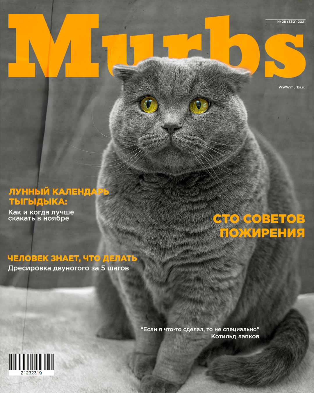Гламурный журнал о котиках "Murbs" — Изображение №3 — Брендинг, Графика на Dprofile