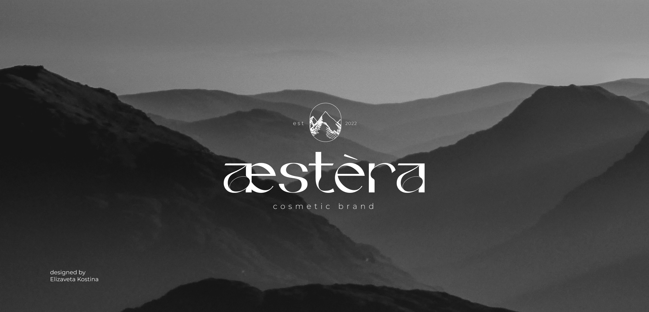 aestera / фирменный стиль для бренда косметики — Изображение №1 — Графика, Маркетинг на Dprofile