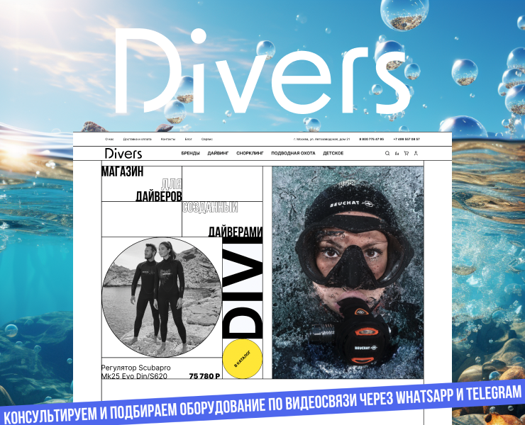 Divers.ru website — Интерфейсы на Dprofile