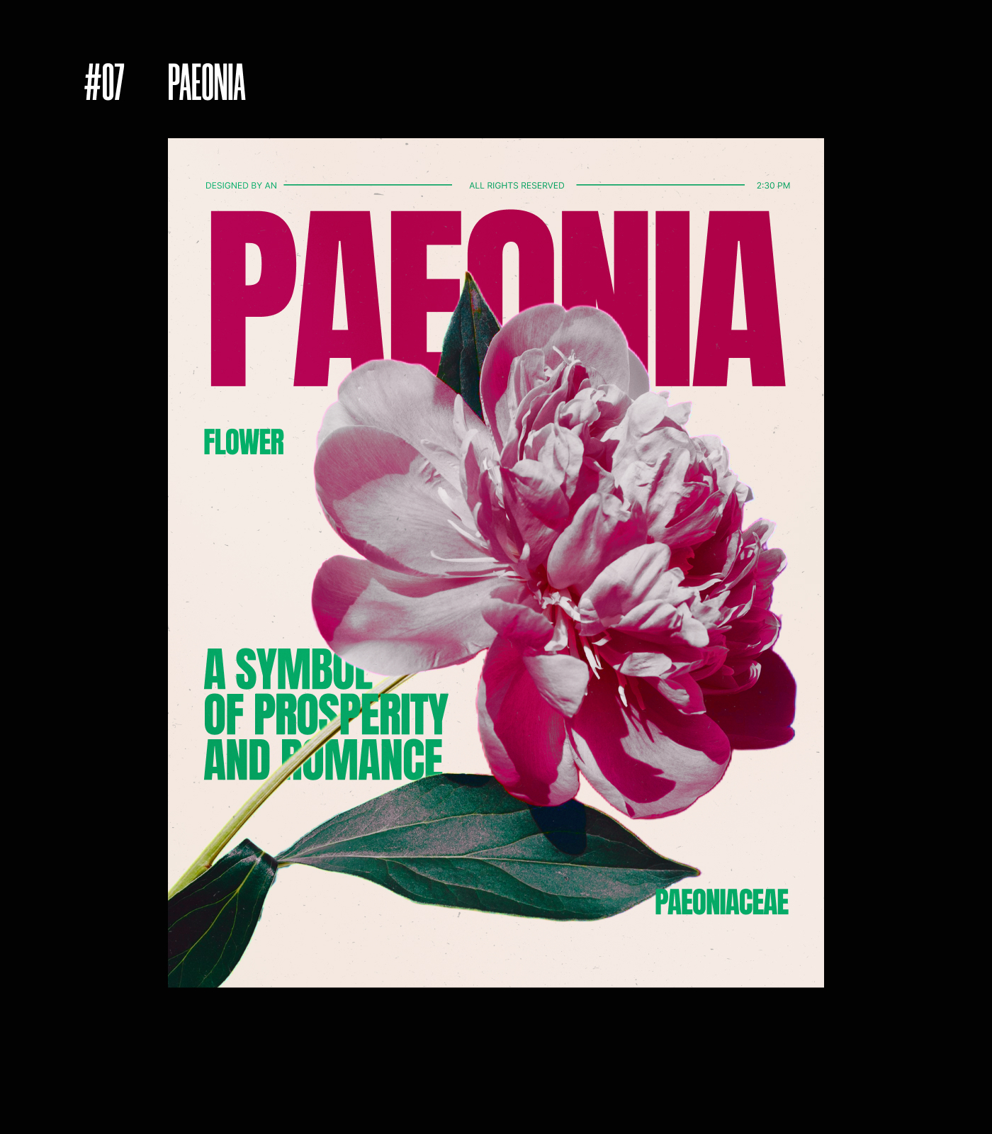 POSTERS COLLECTION — Изображение №8 — Брендинг, Графика на Dprofile